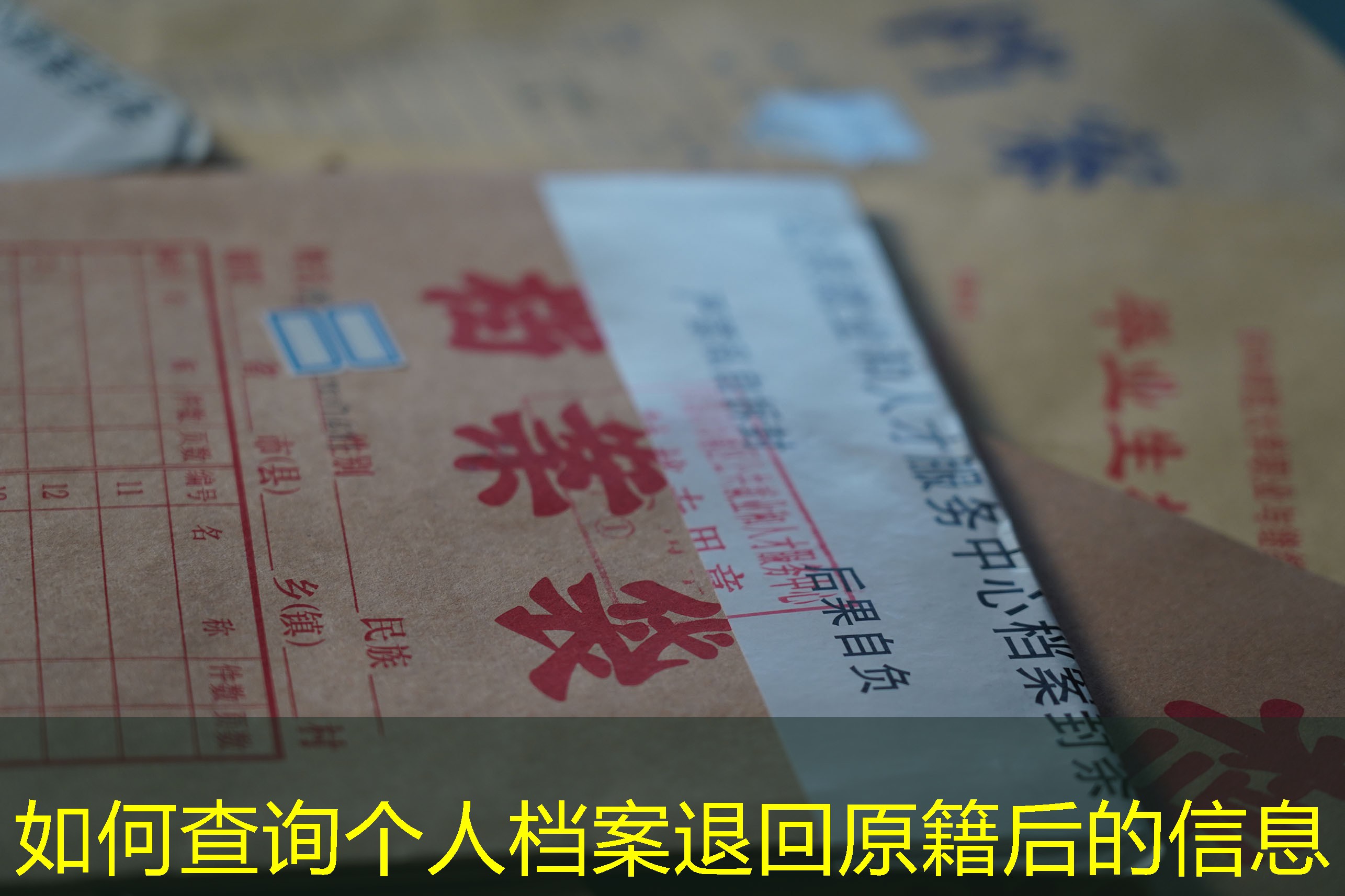档案查询