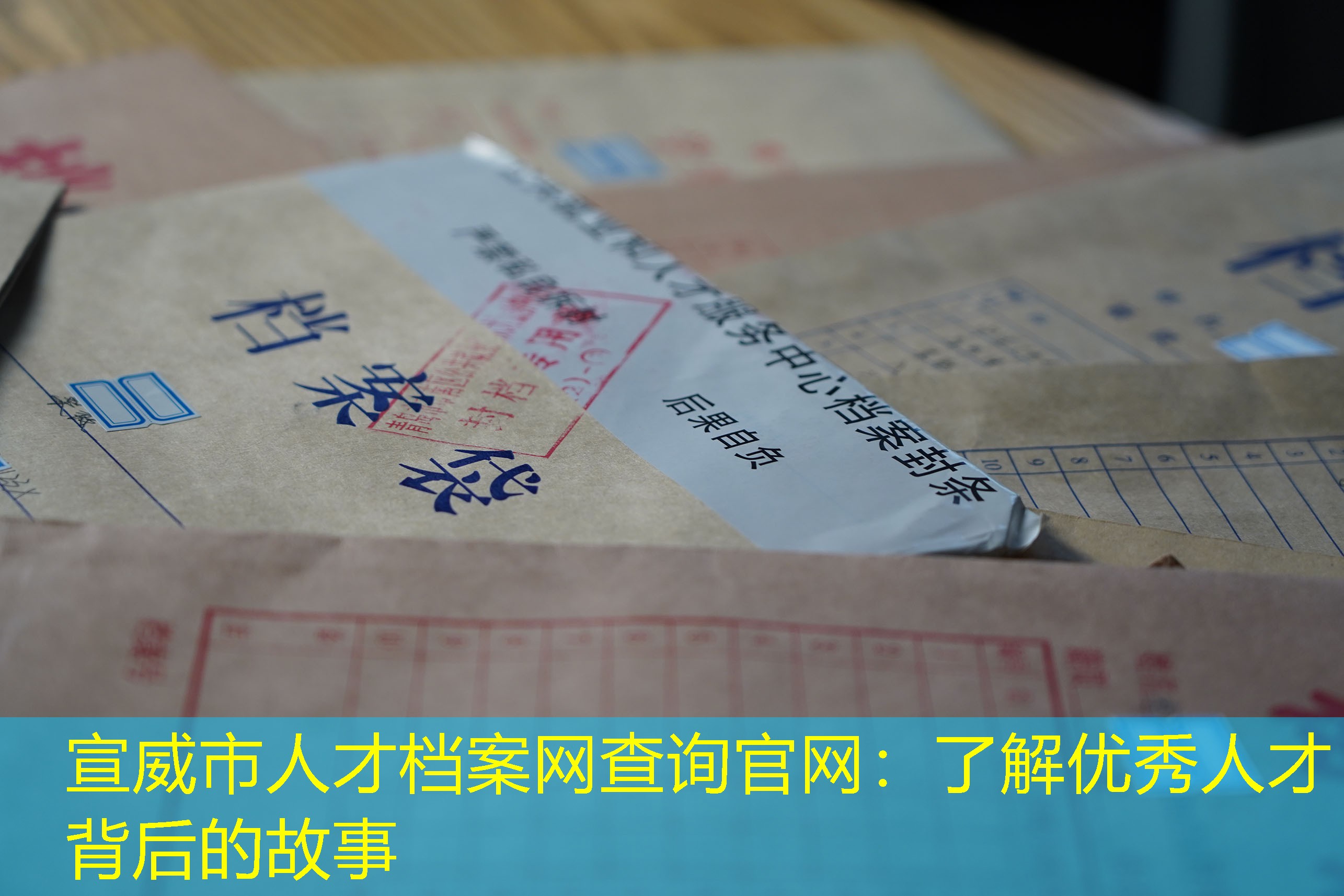 档案查询