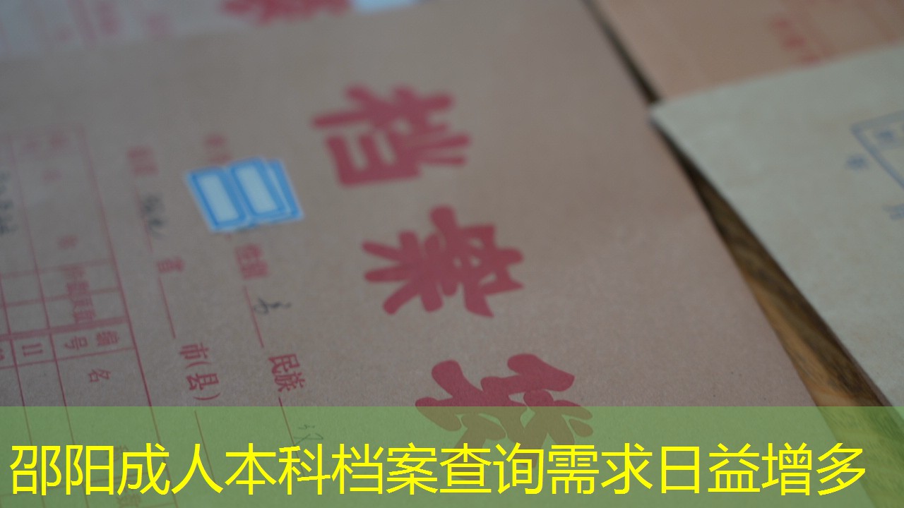 档案查询