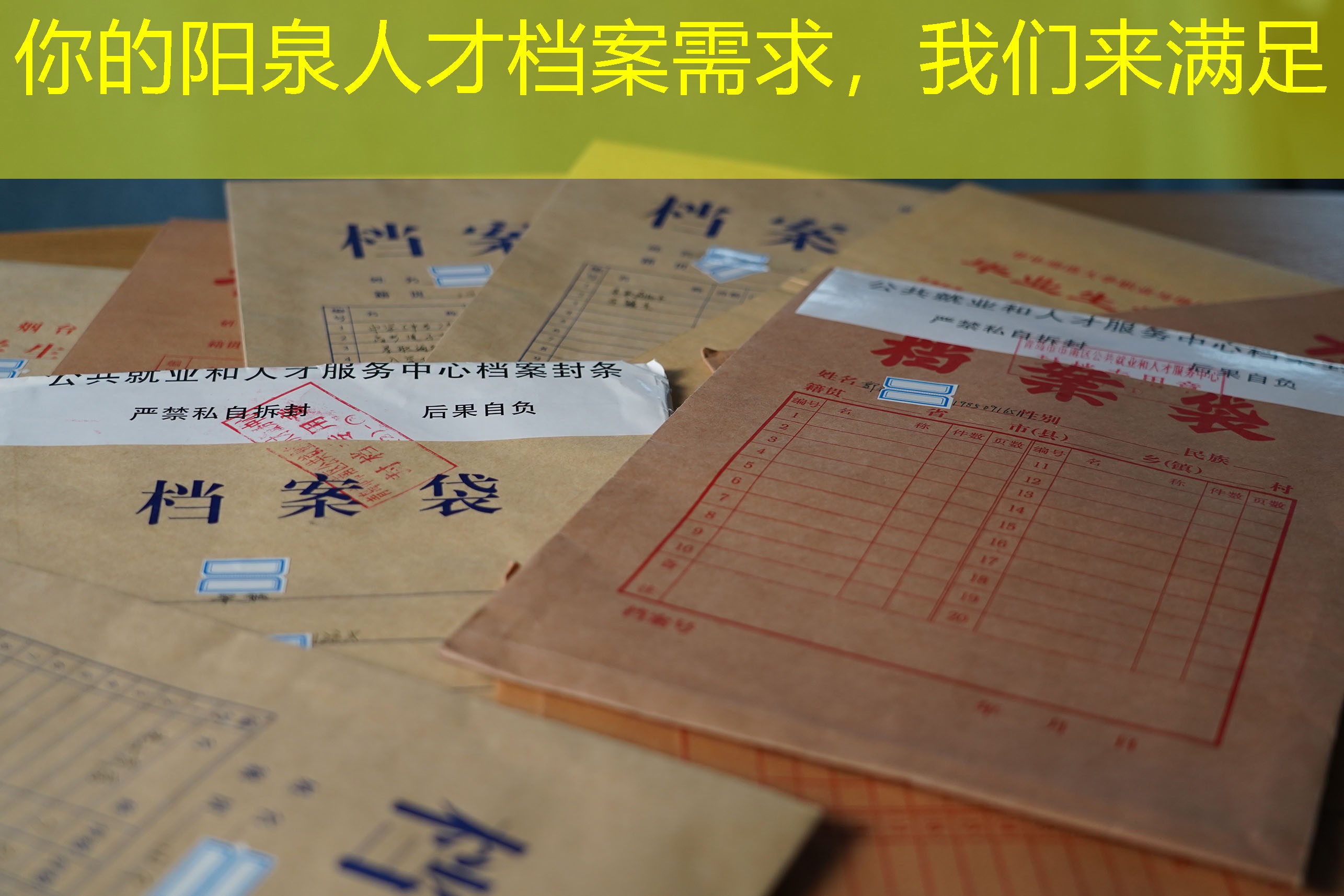 档案查询