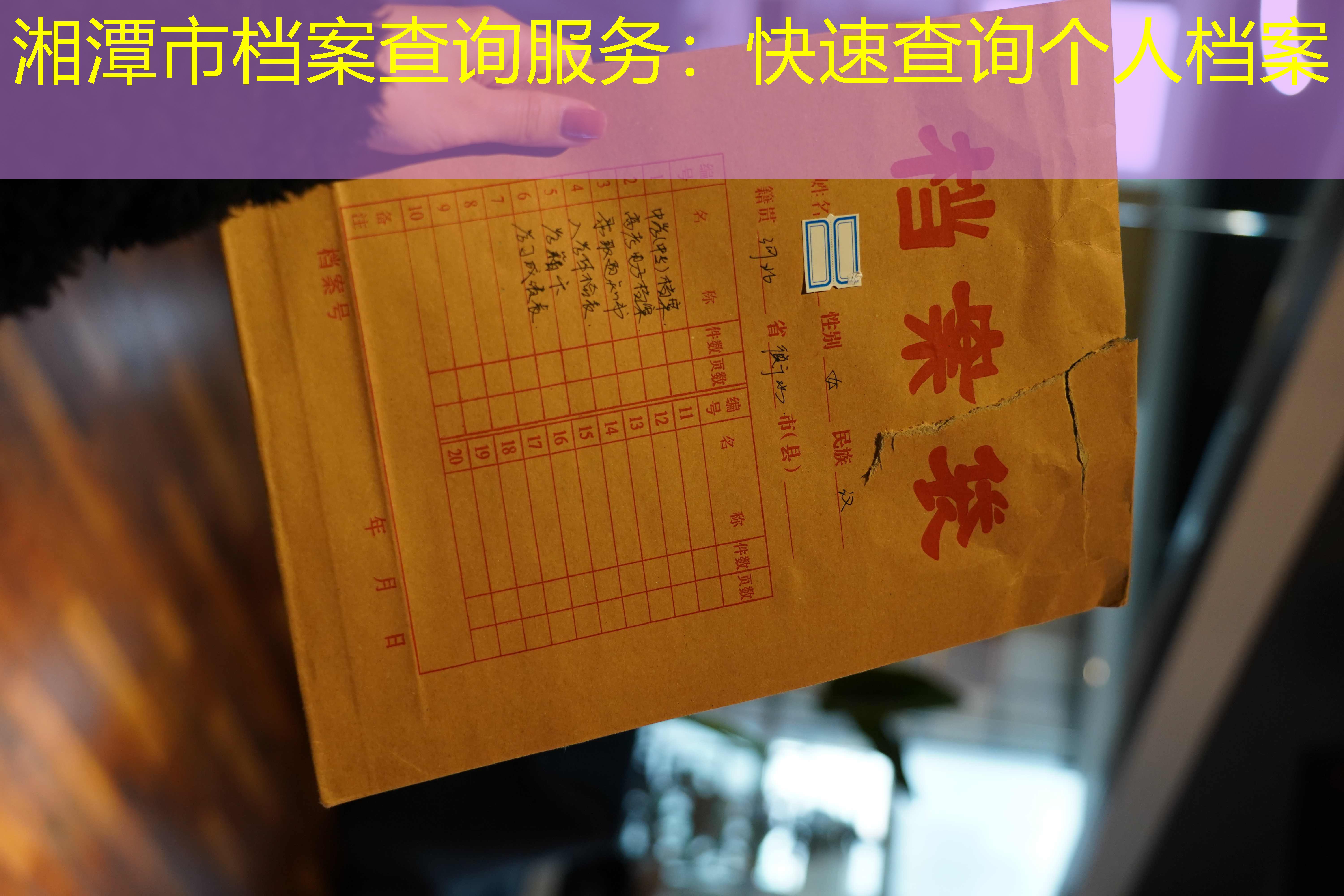 档案查询