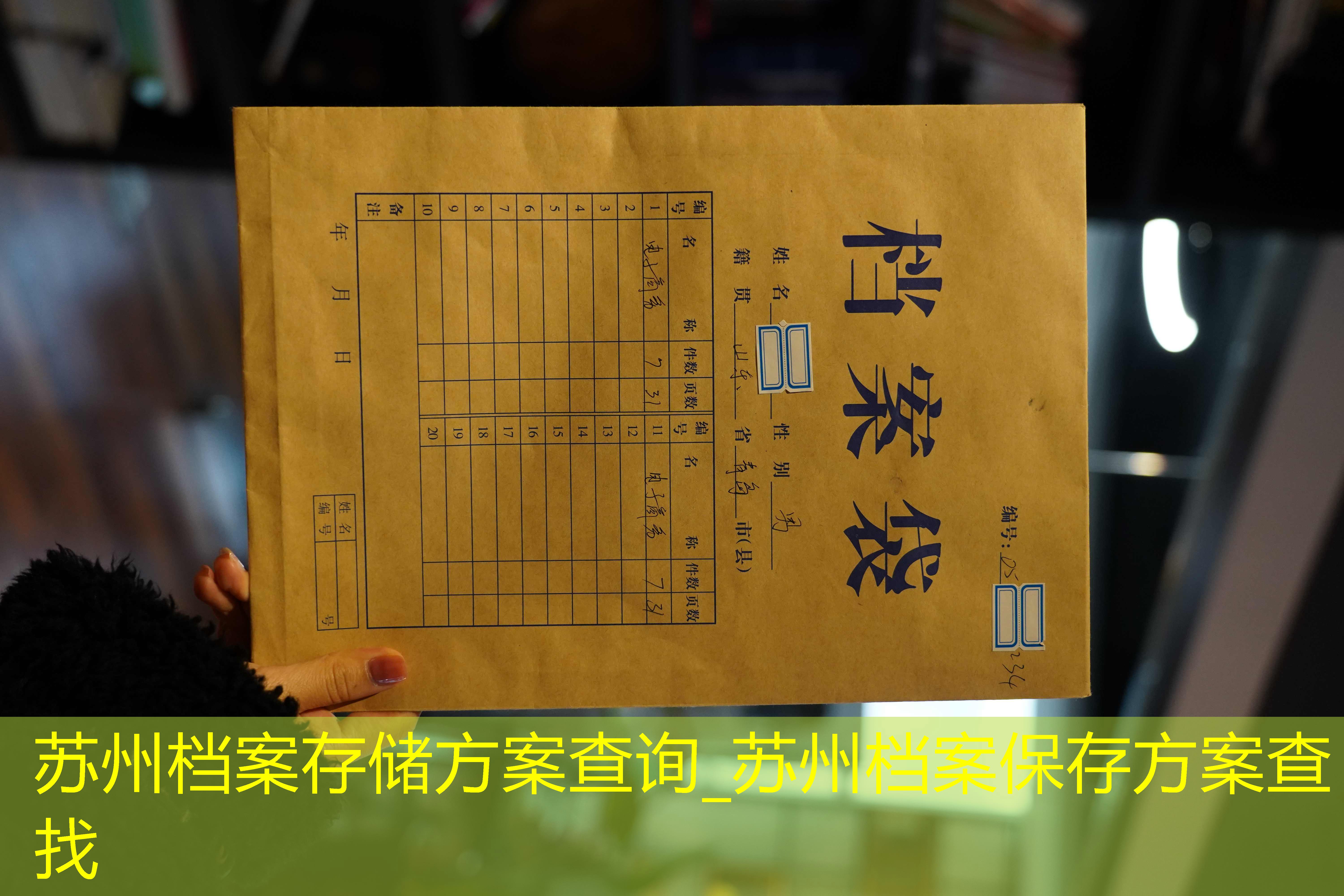 档案查询