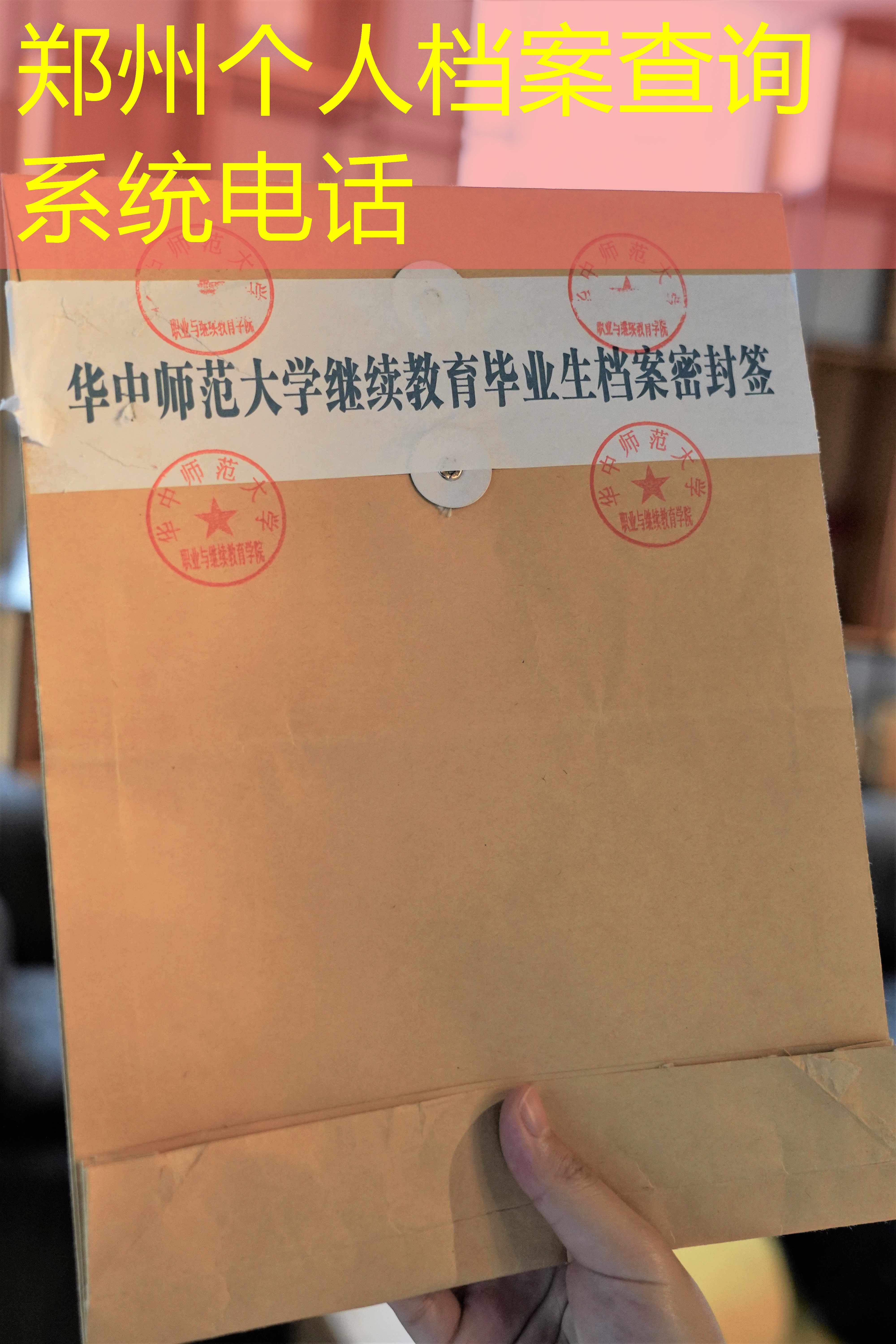 档案查询