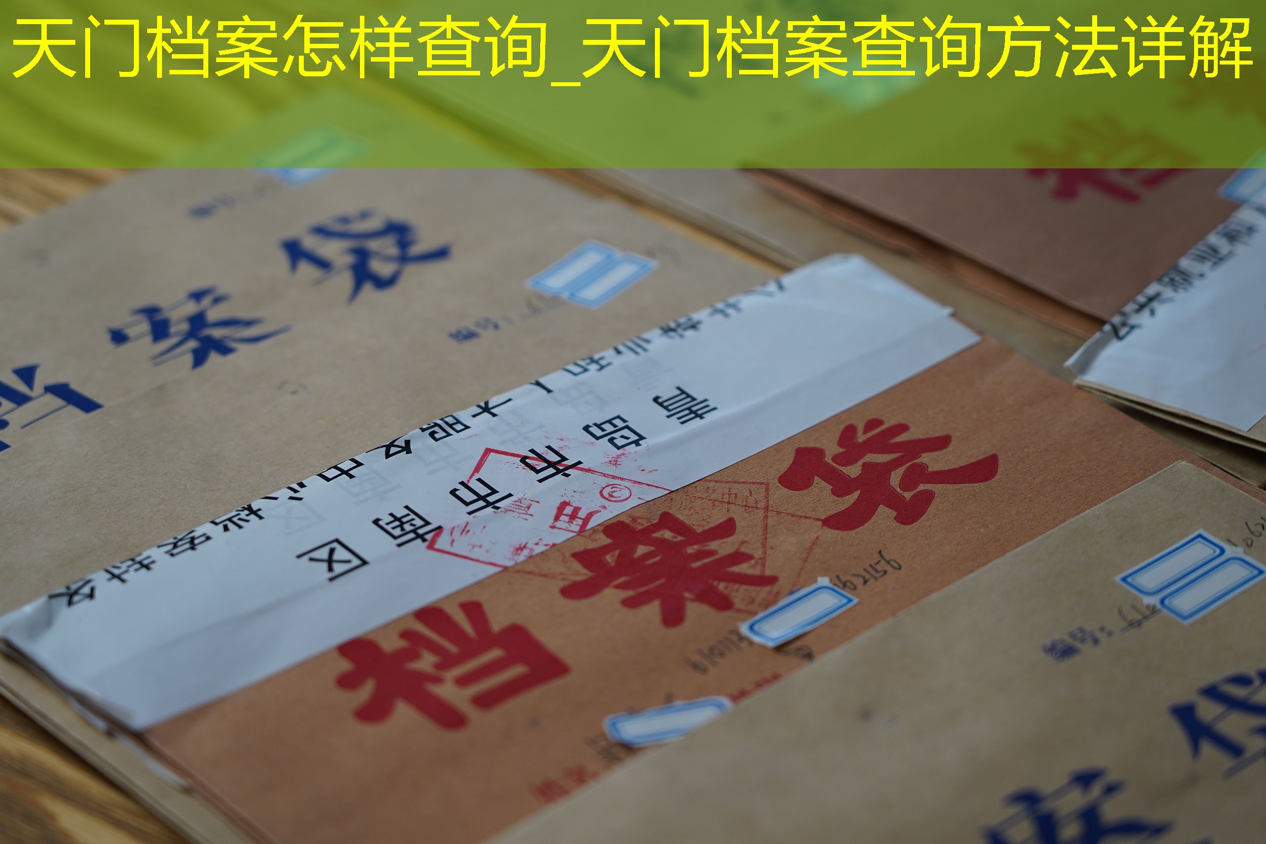 档案查询