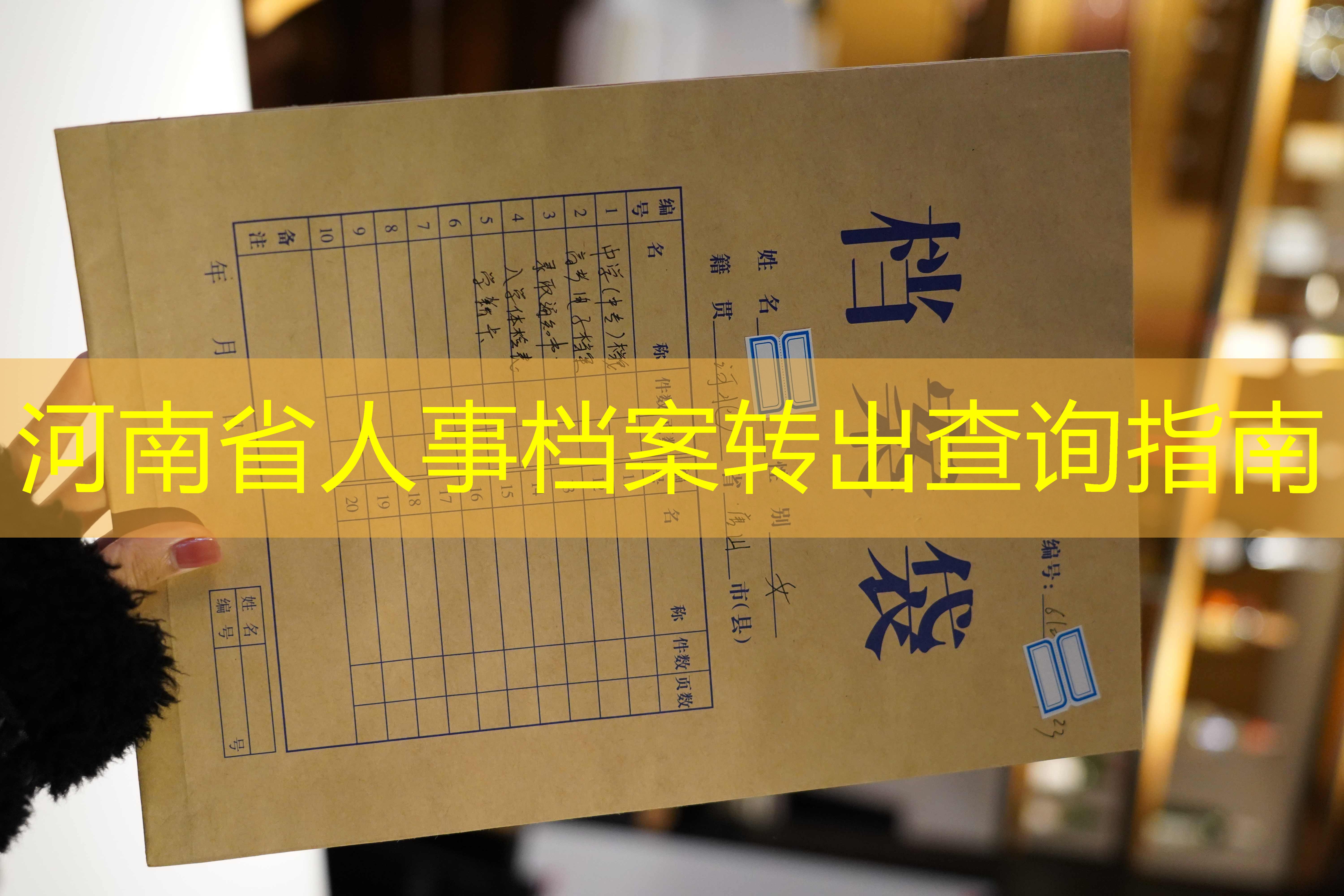 档案查询