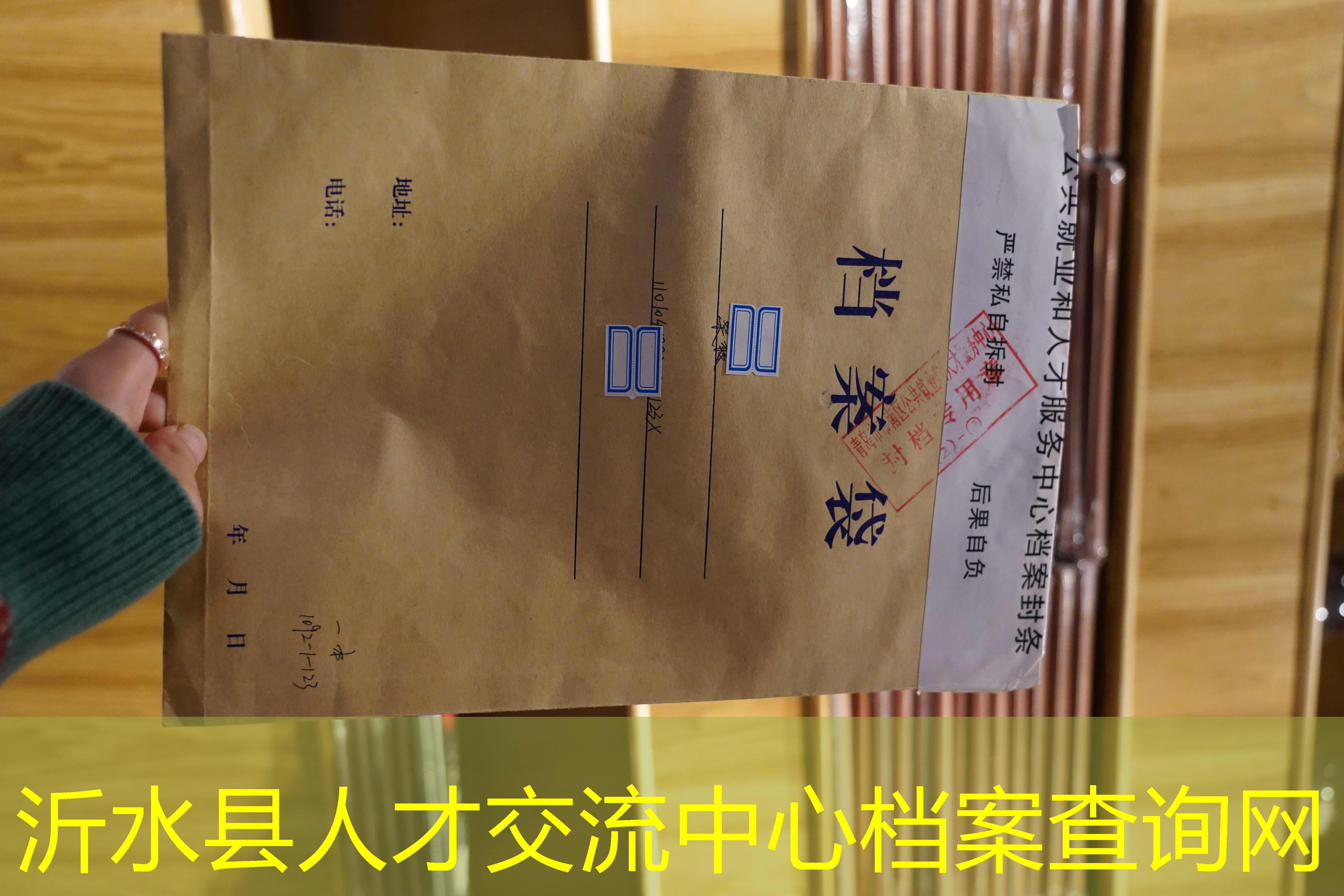 档案查询