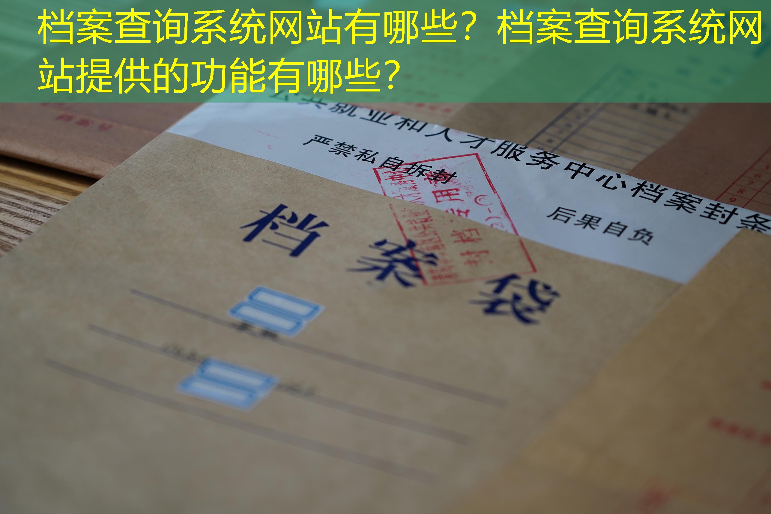 档案查询