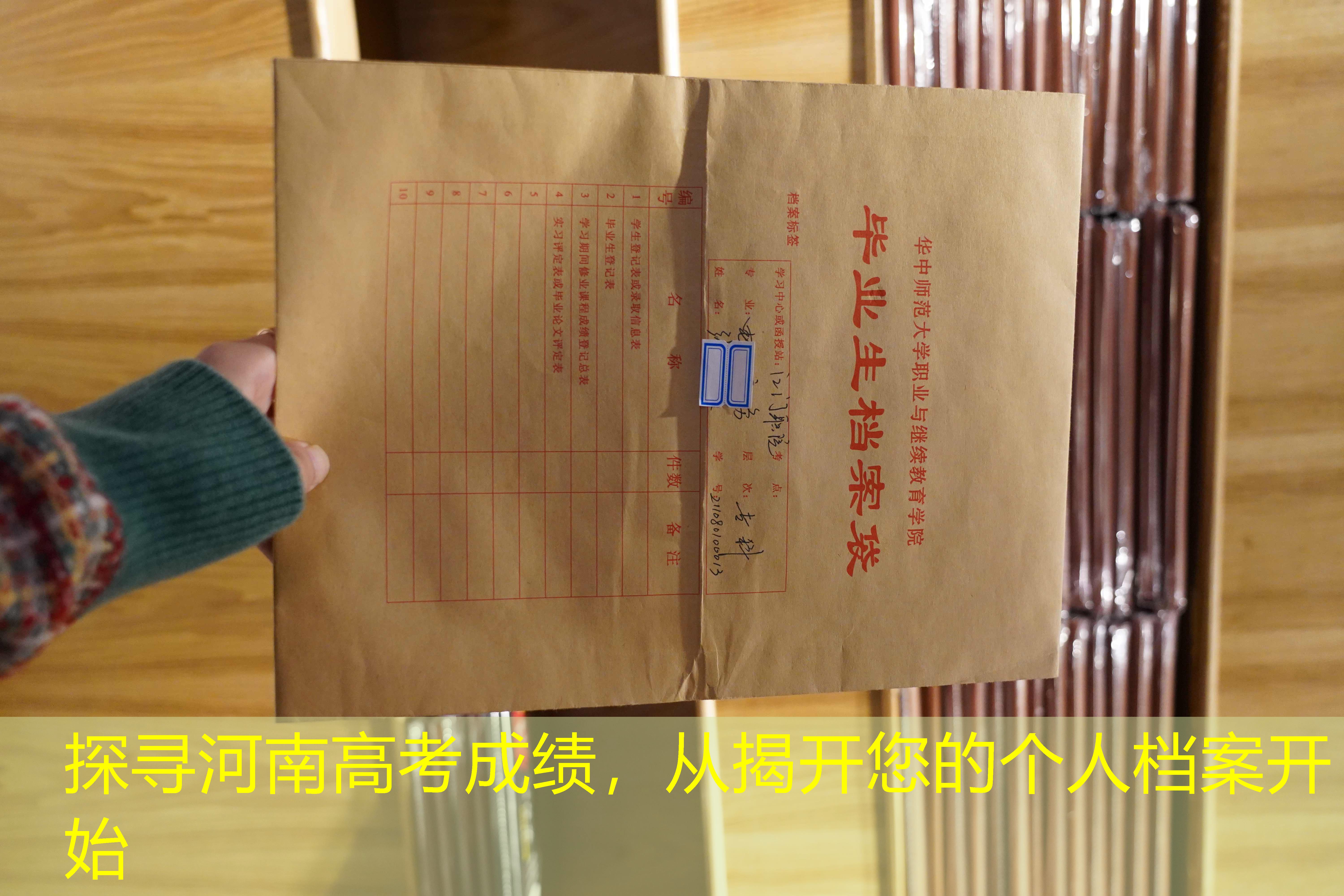 档案查询