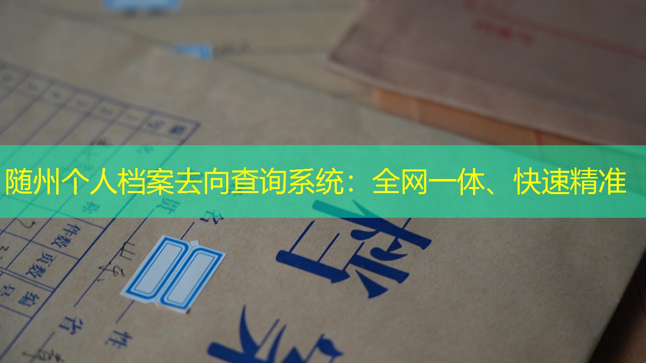 档案查询