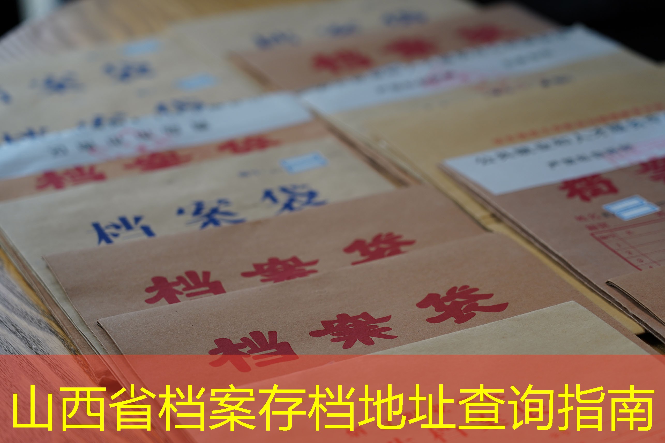 档案查询