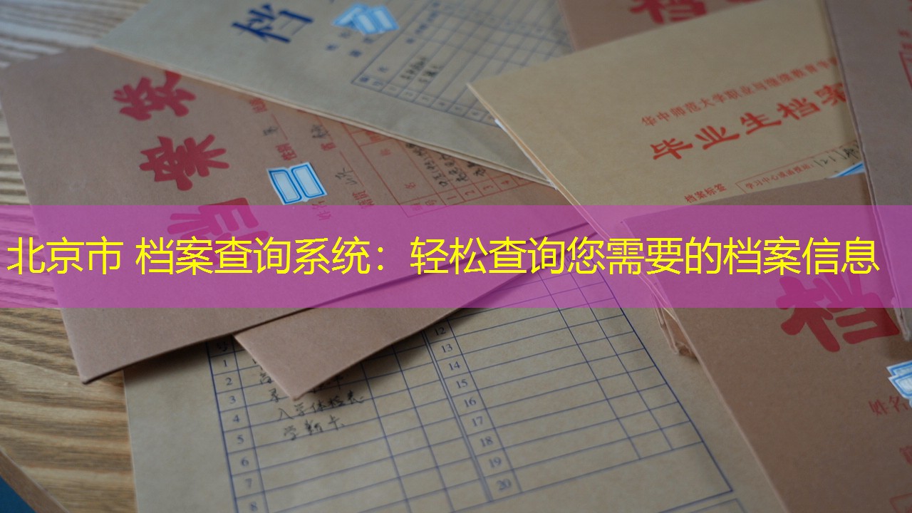 档案查询