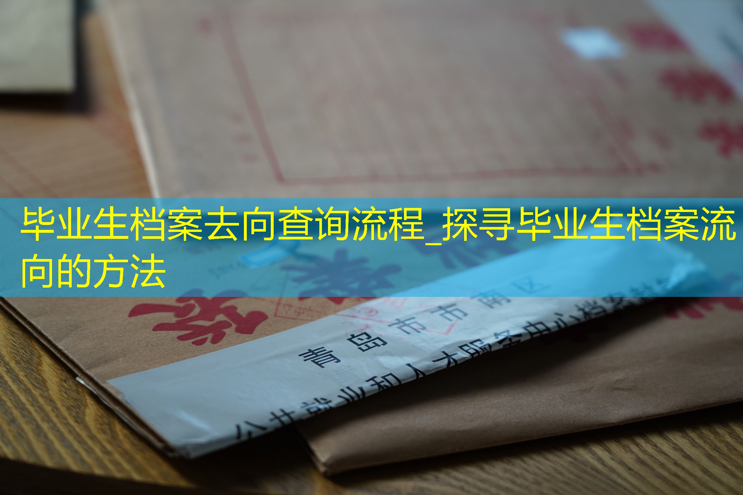 档案查询