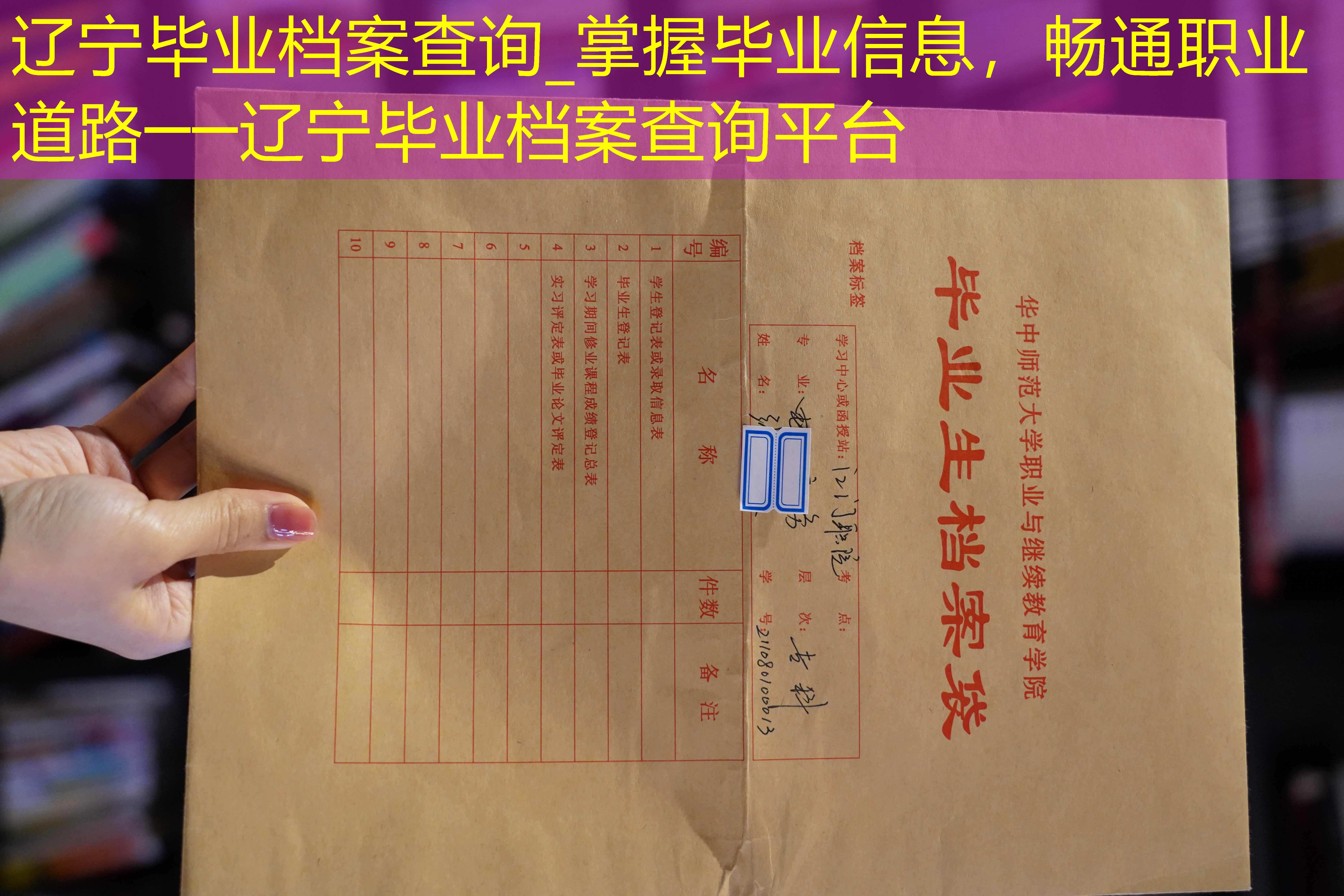 档案查询
