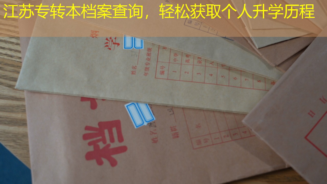 档案查询
