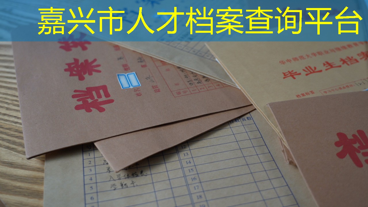 档案查询