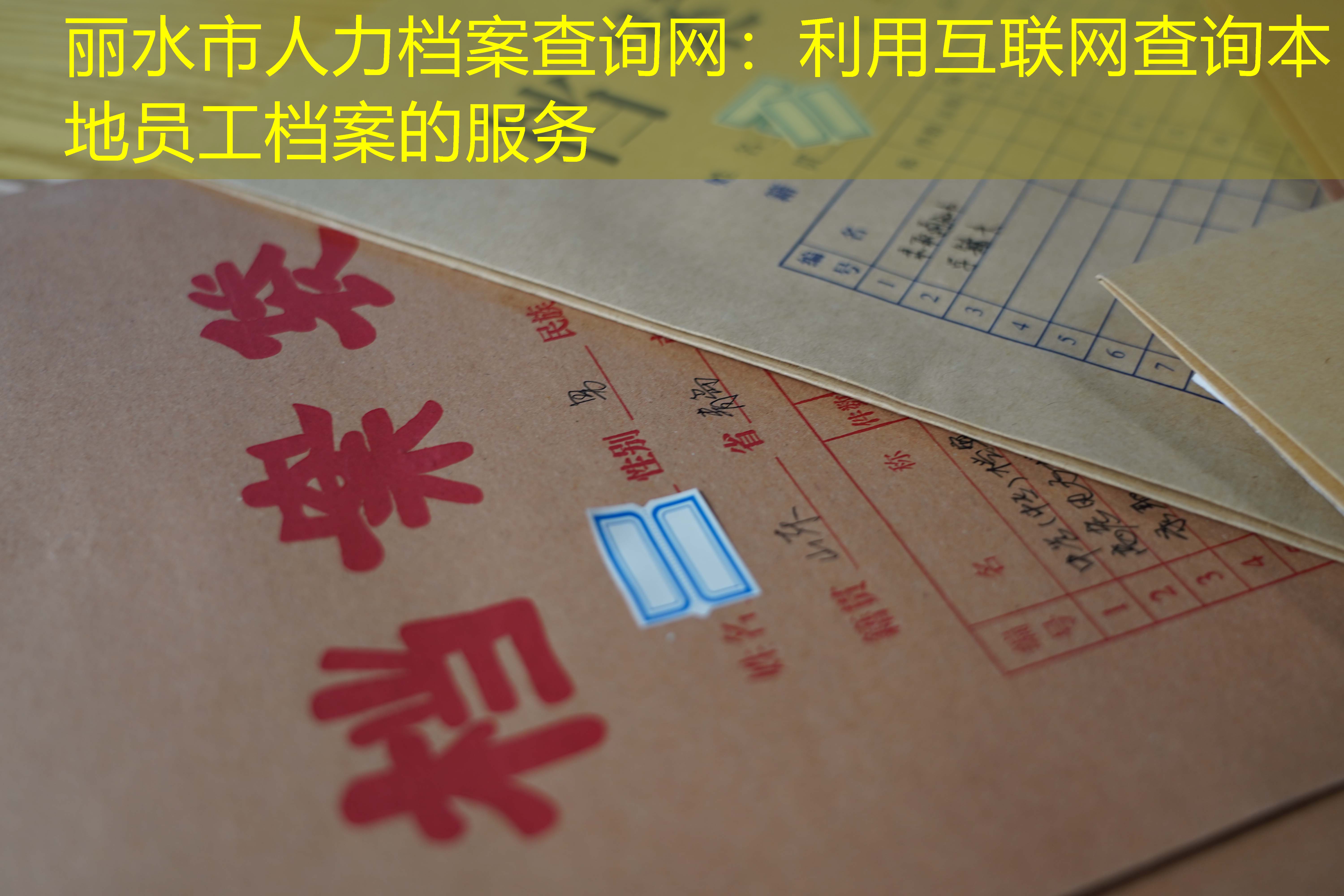 档案查询
