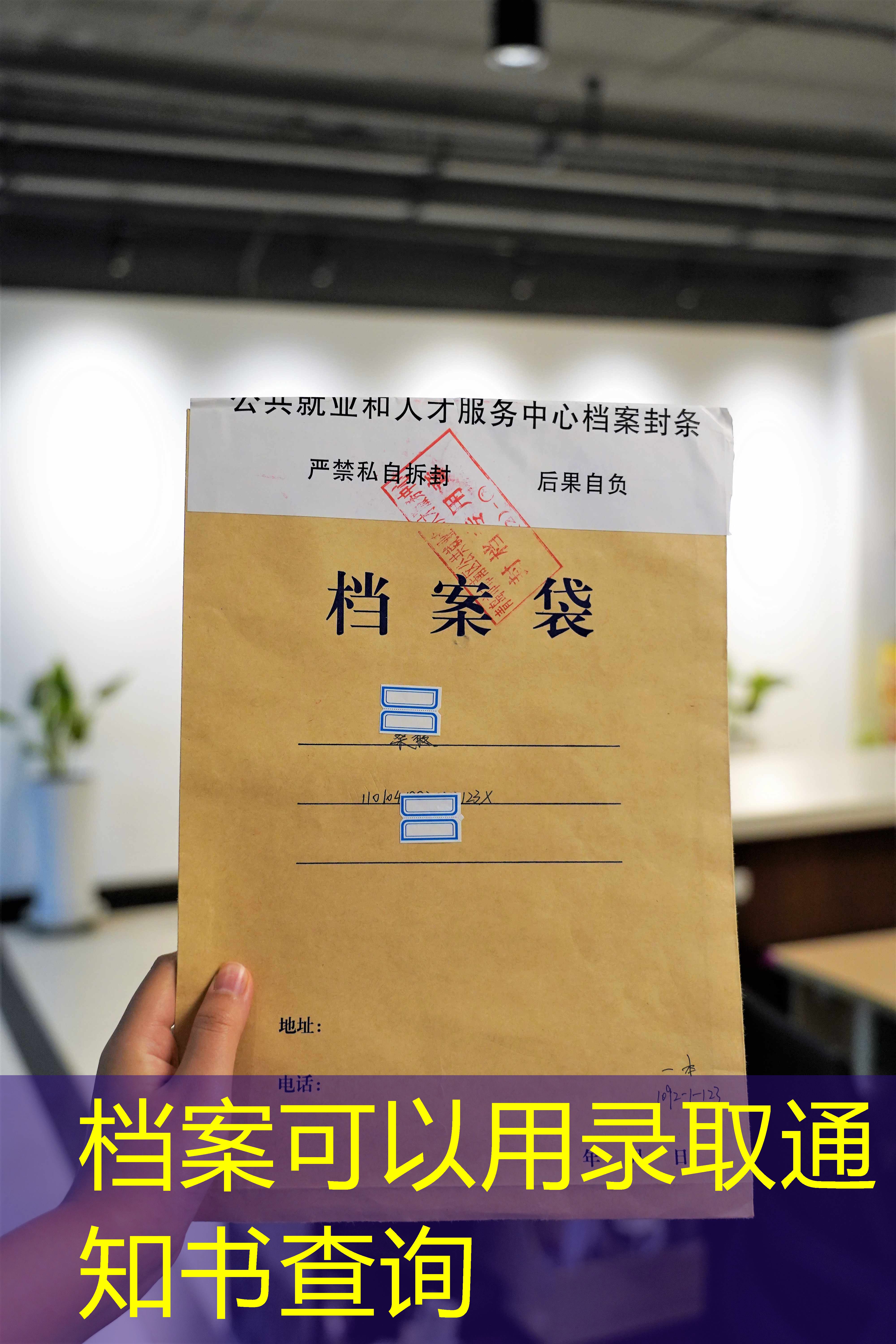 档案查询
