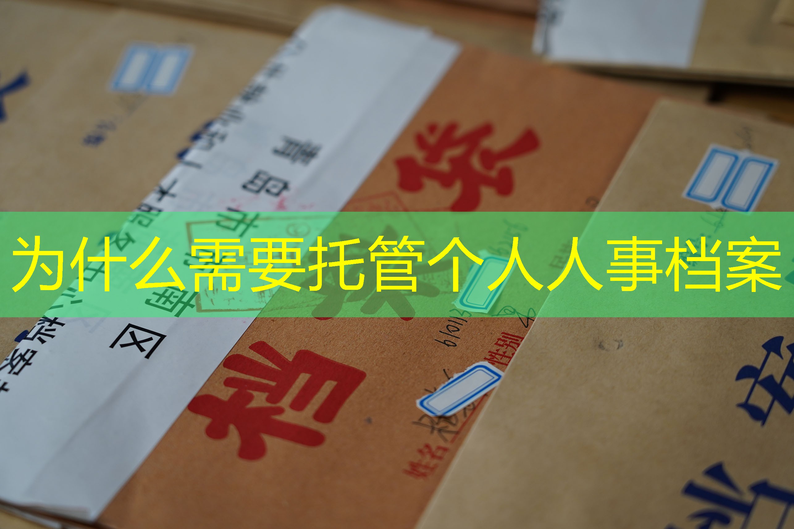 档案查询