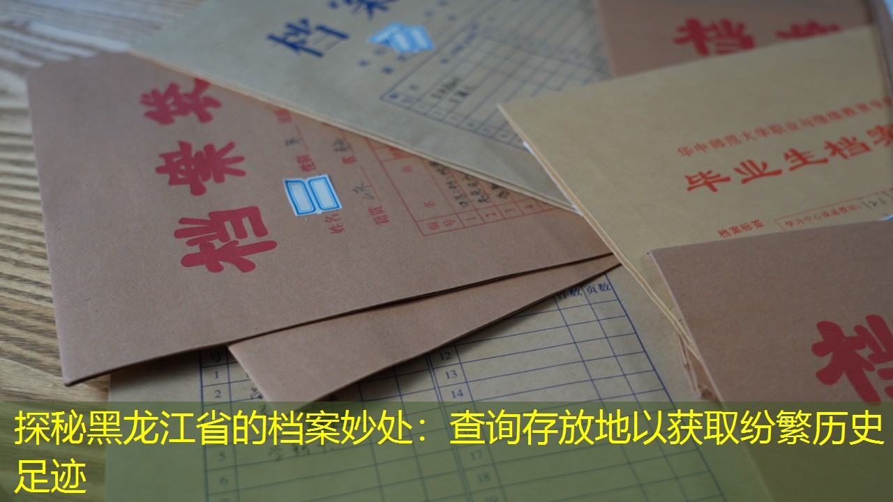 档案查询