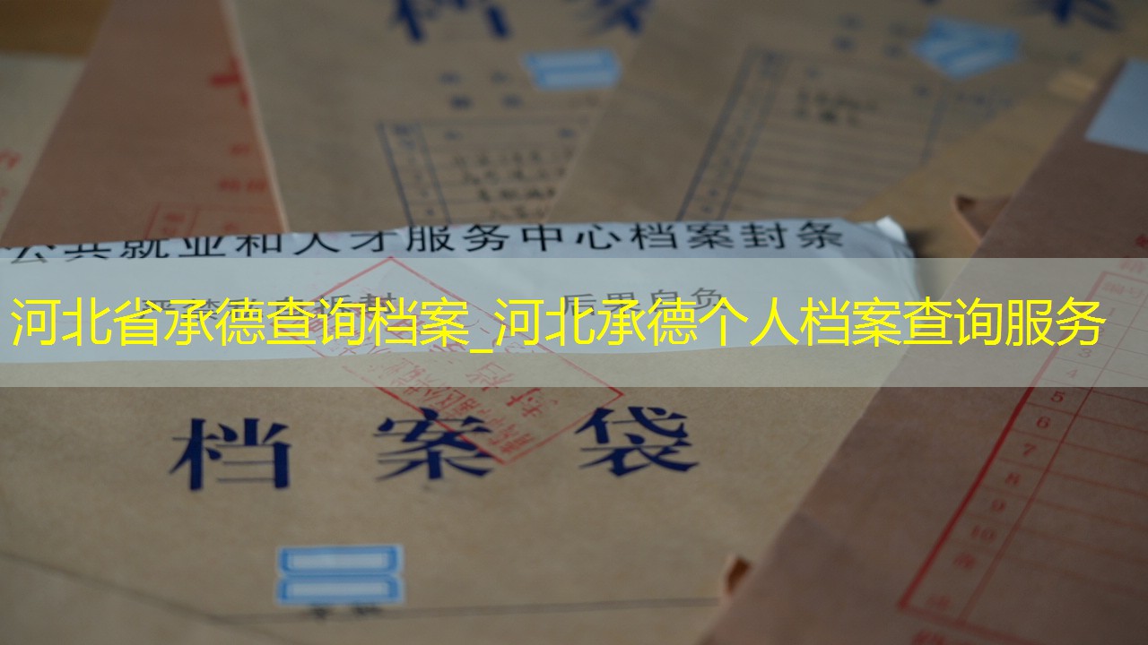 档案查询