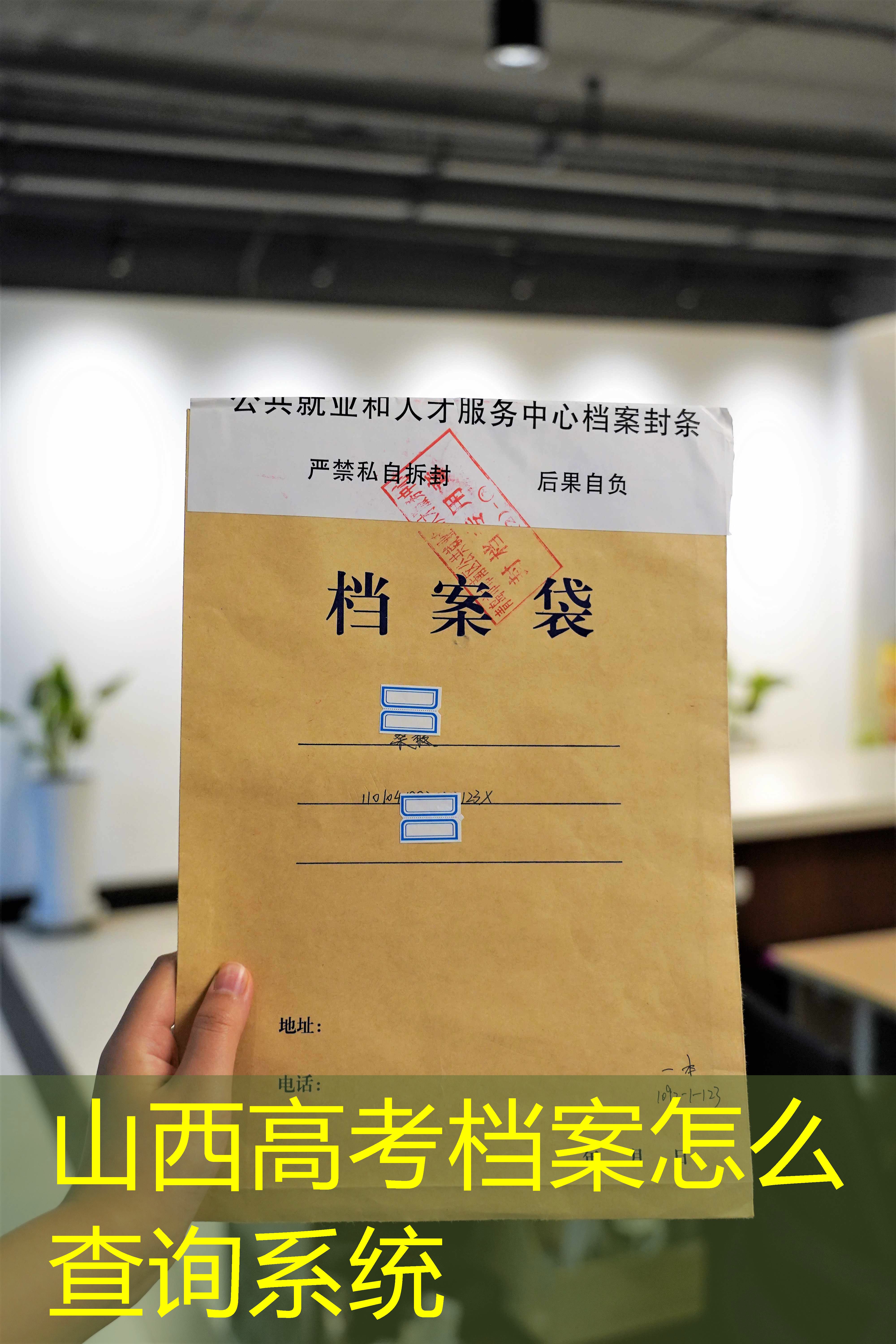 档案查询