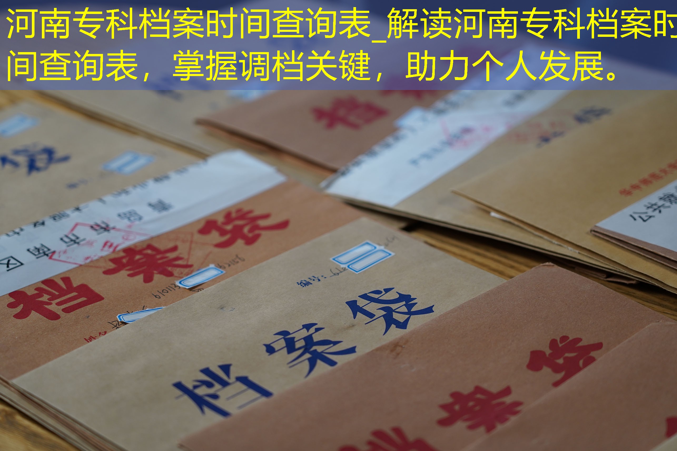 档案查询