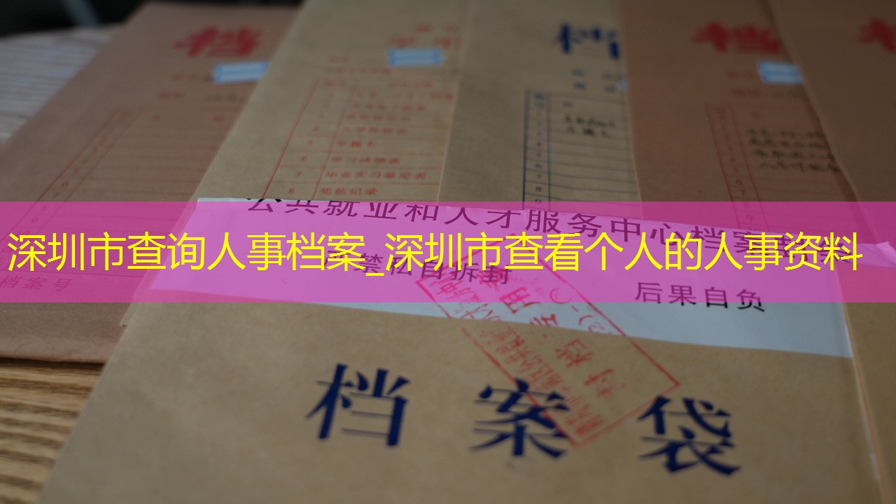档案查询