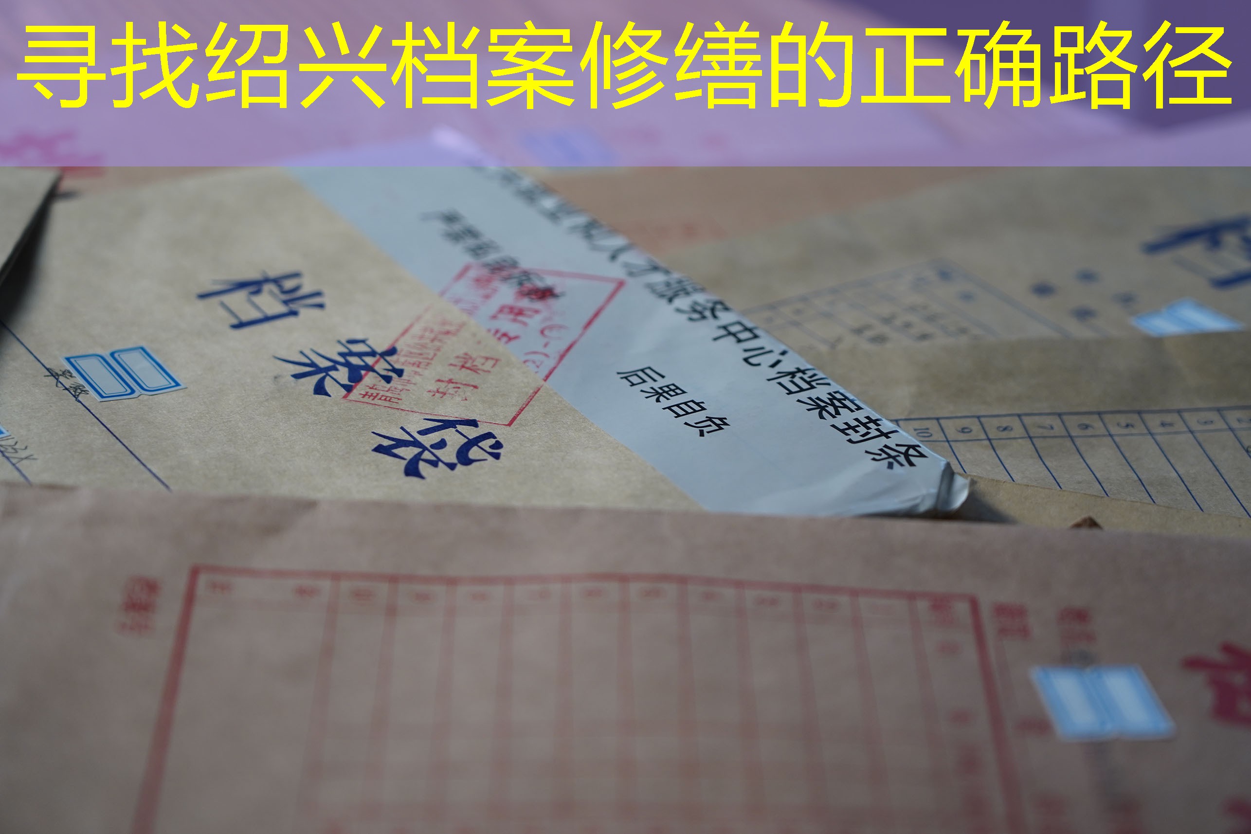 档案查询