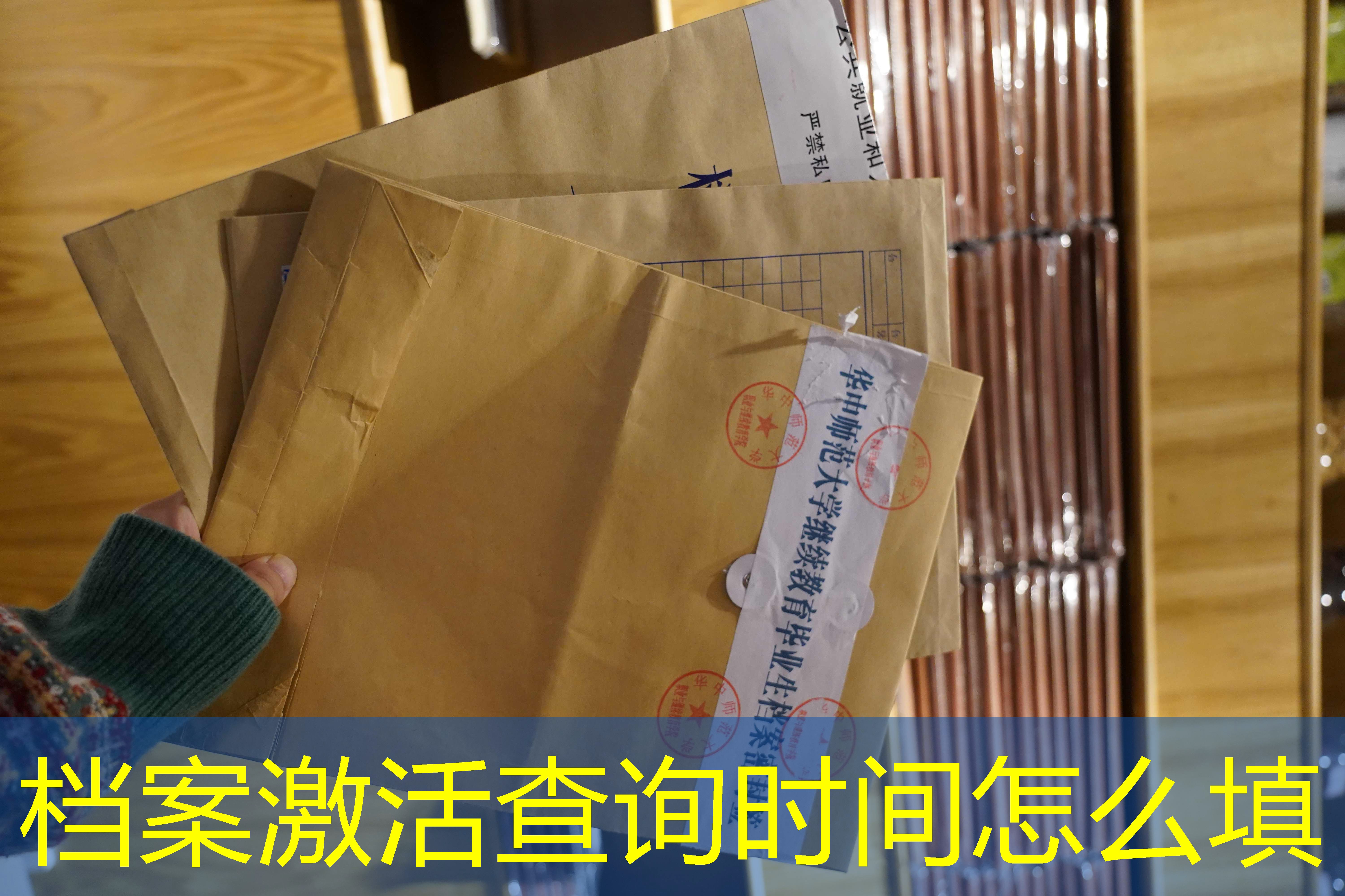 档案查询