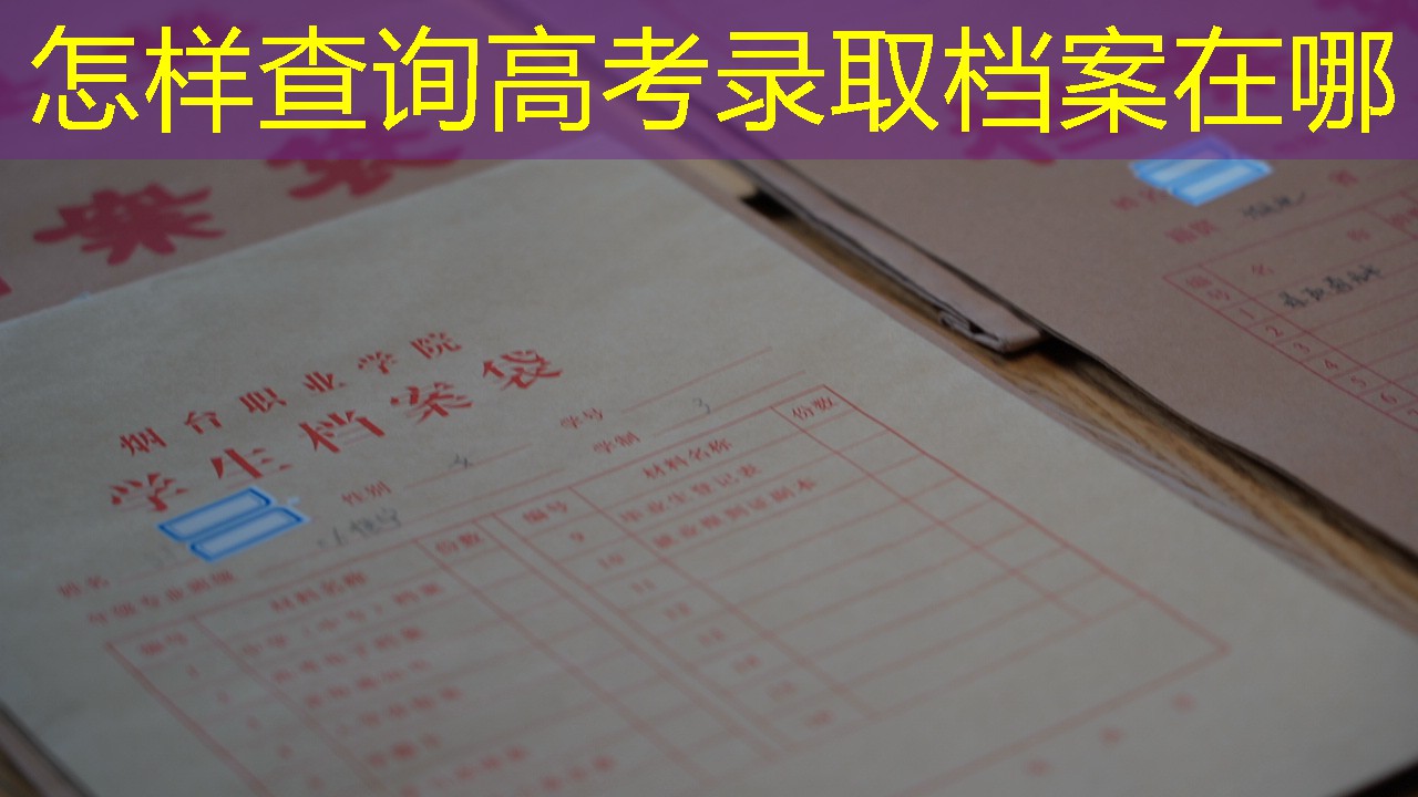 档案查询
