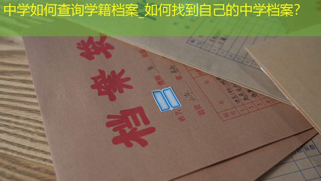 档案查询
