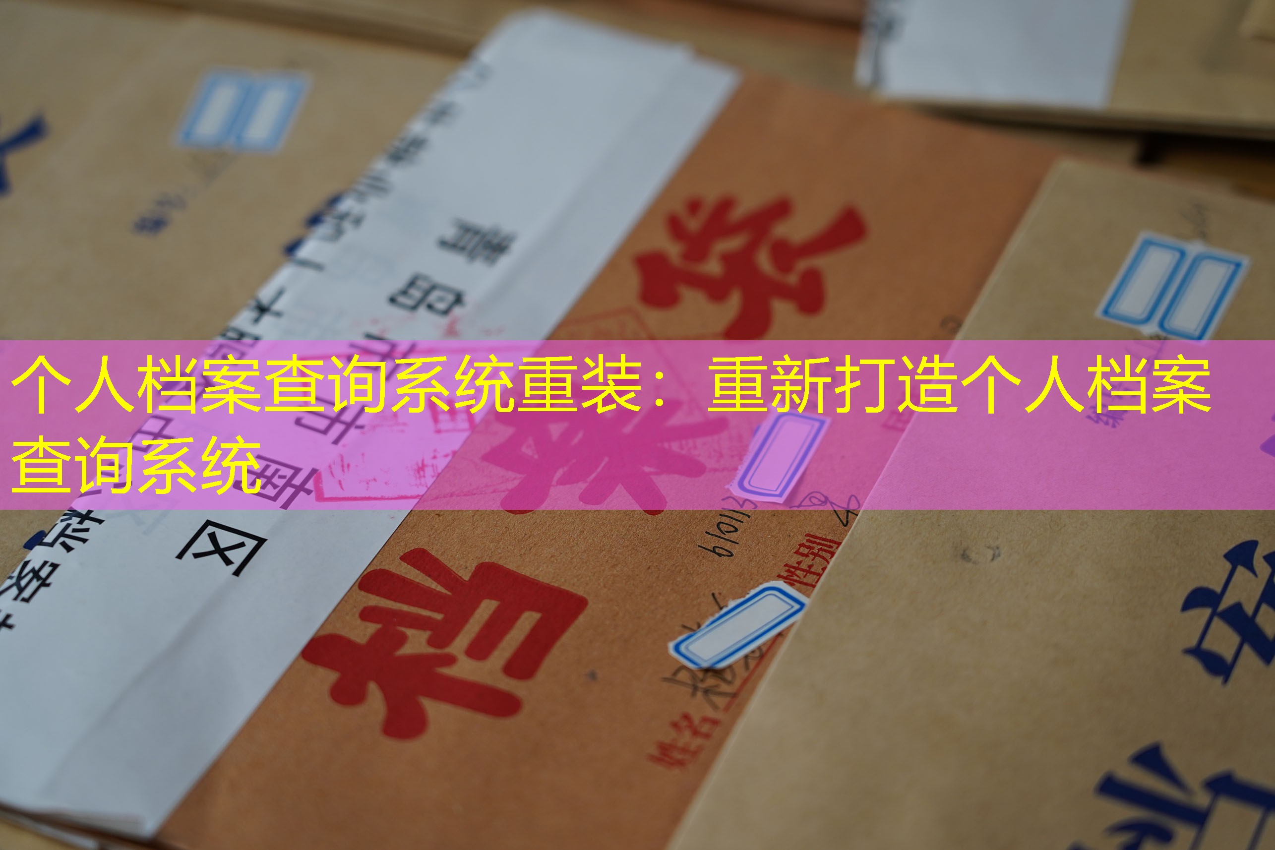 档案查询