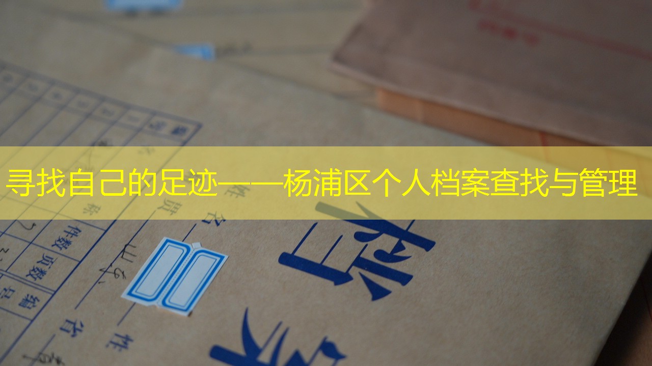 档案查询