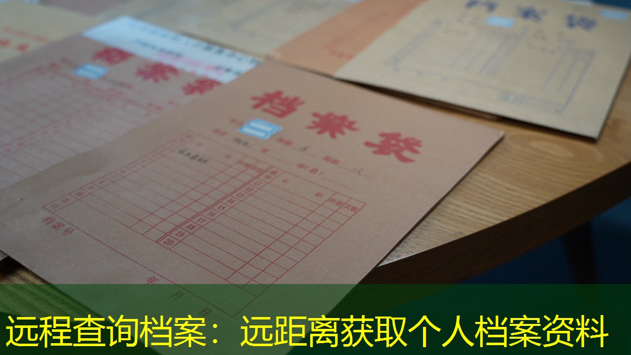 档案查询