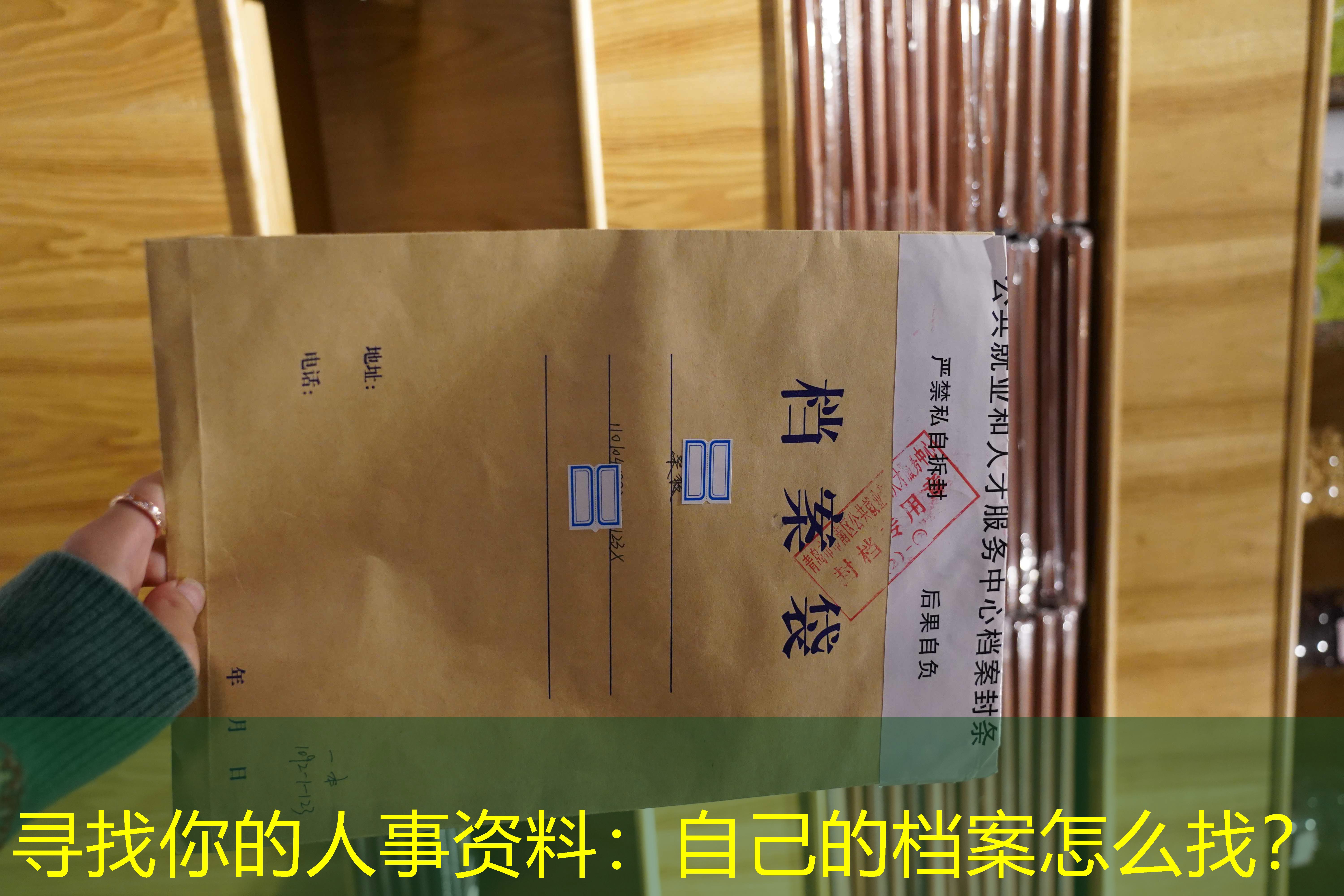 档案查询