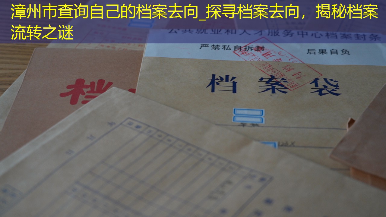 档案查询