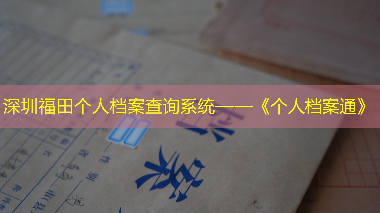档案查询