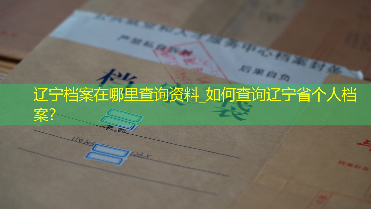 档案查询