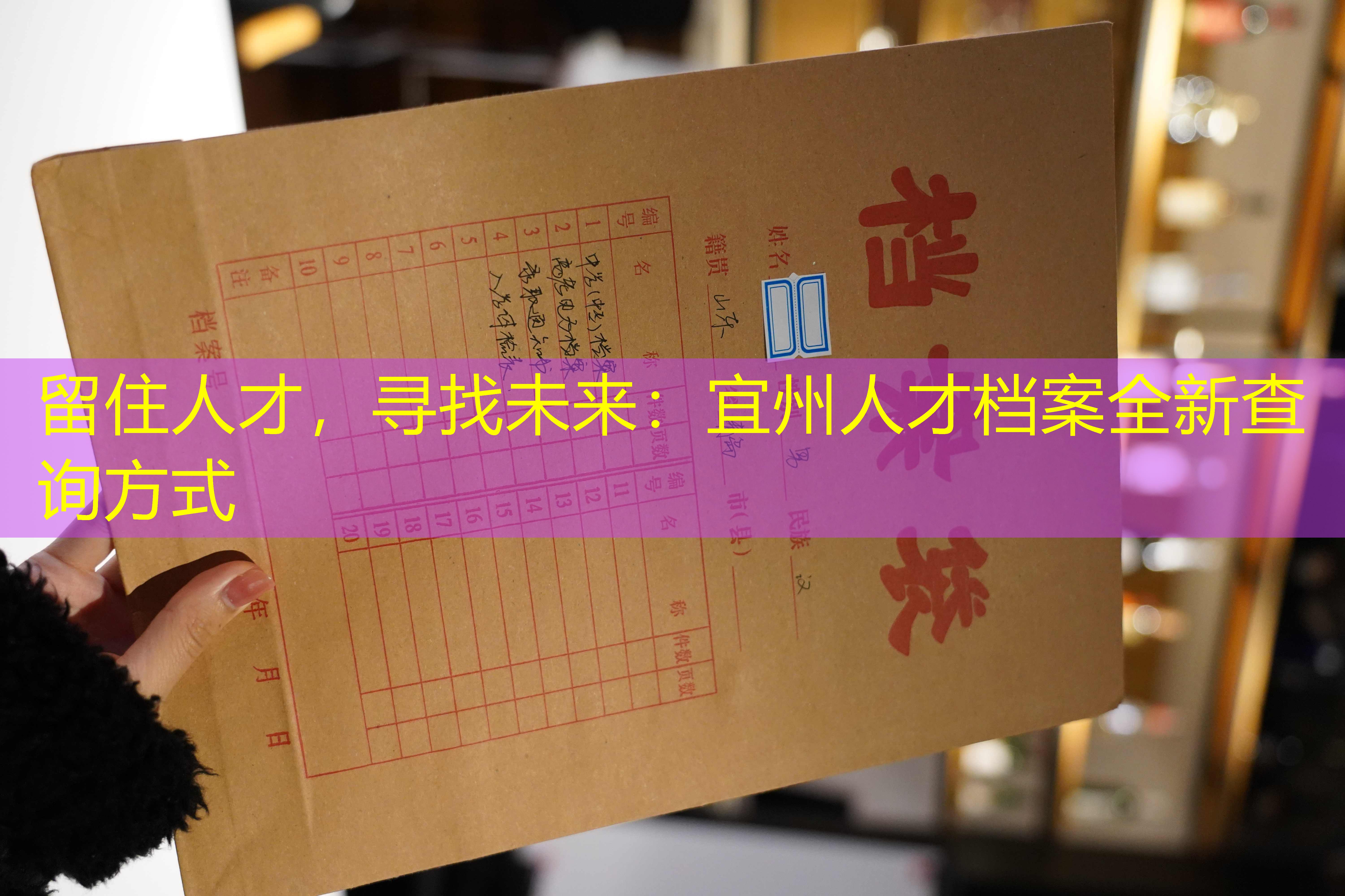 档案查询
