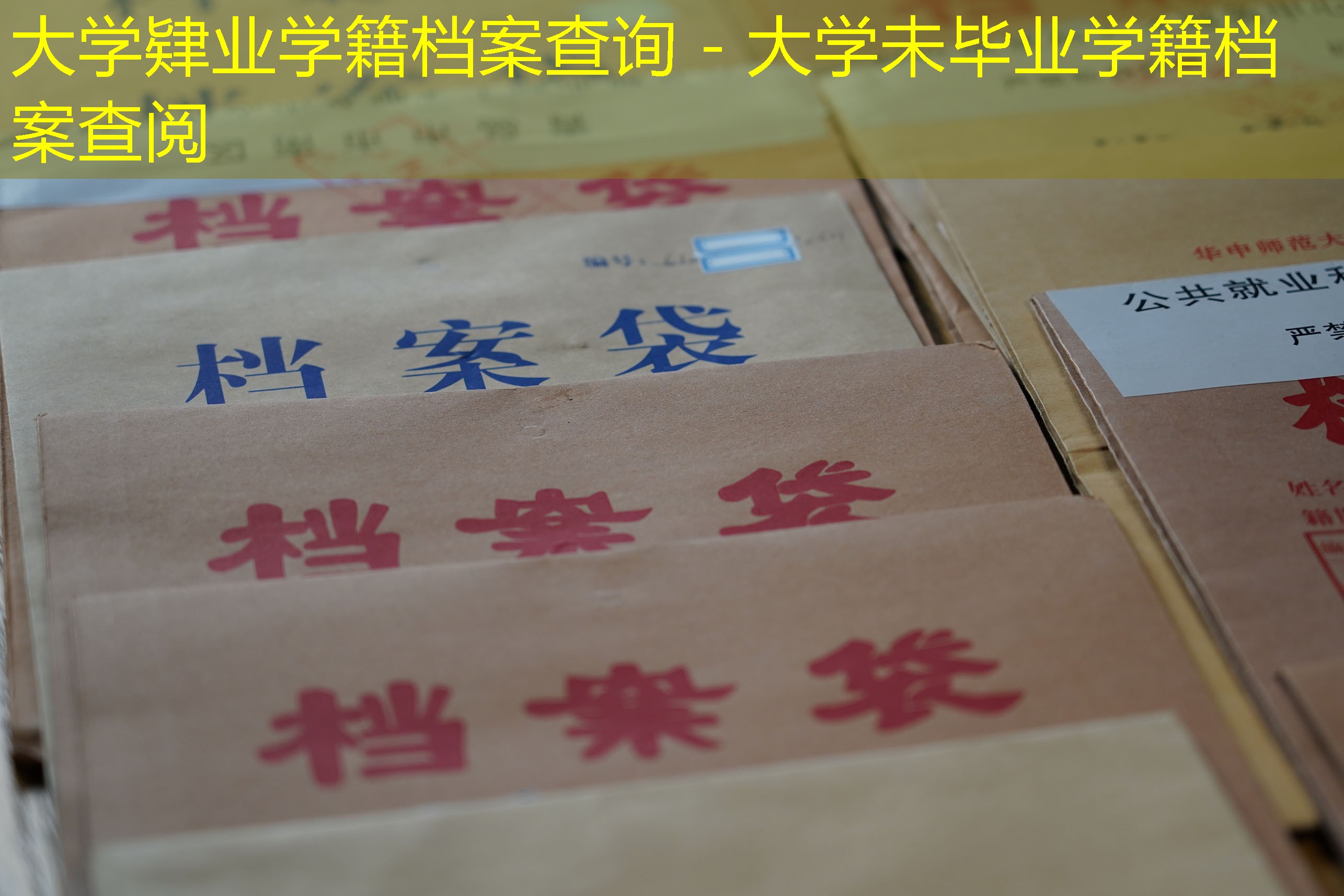 档案查询