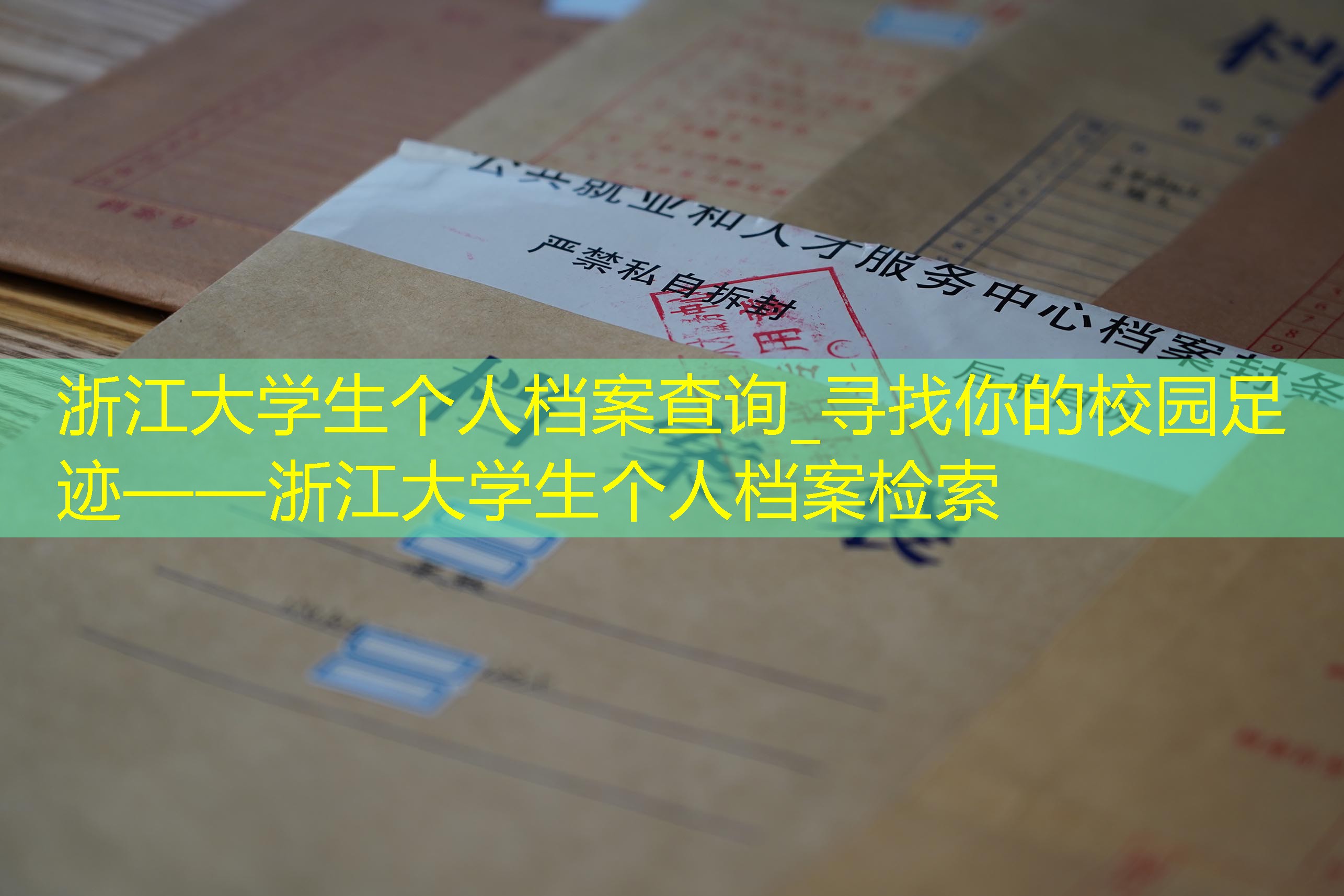 档案查询