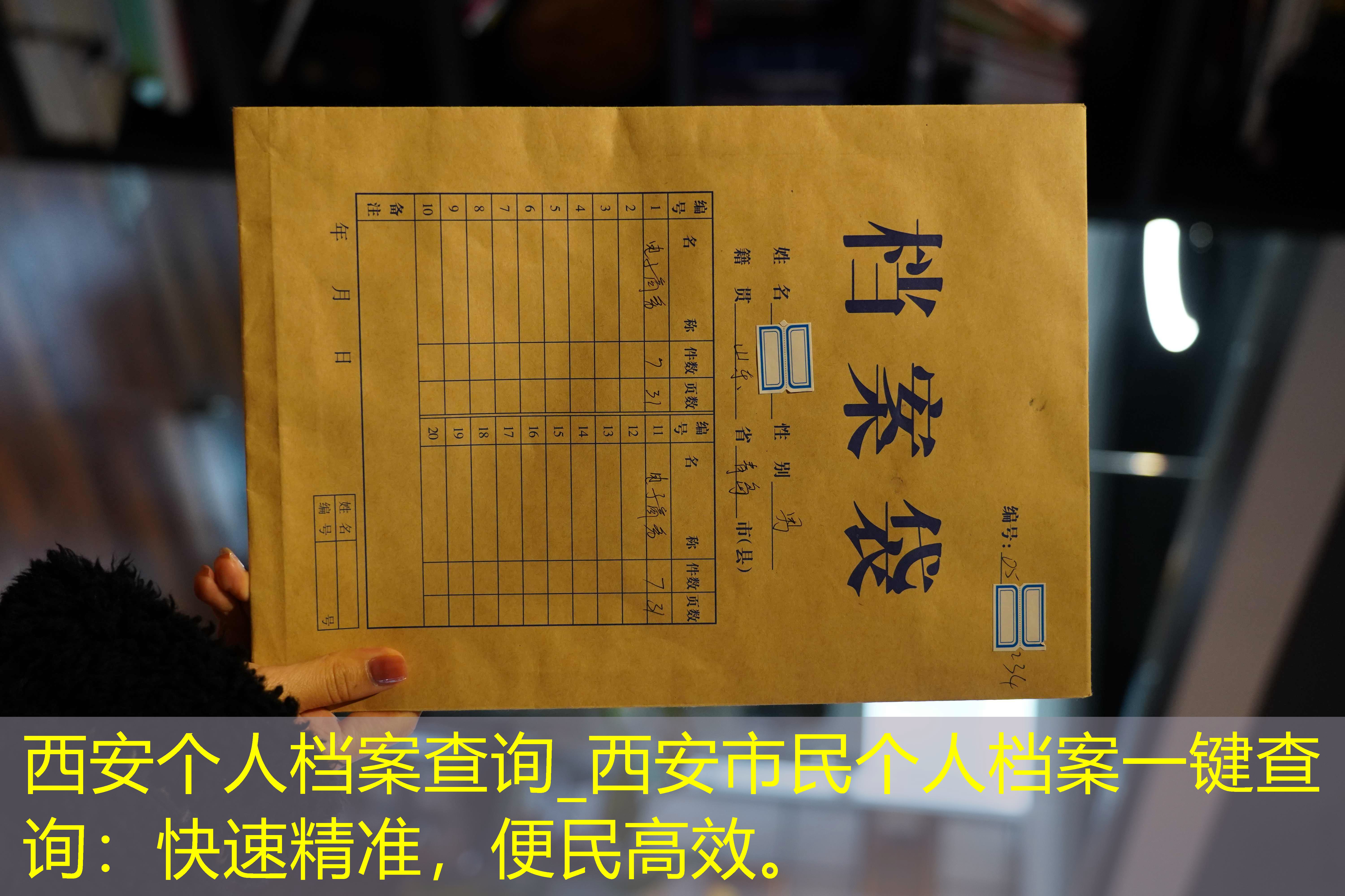档案查询