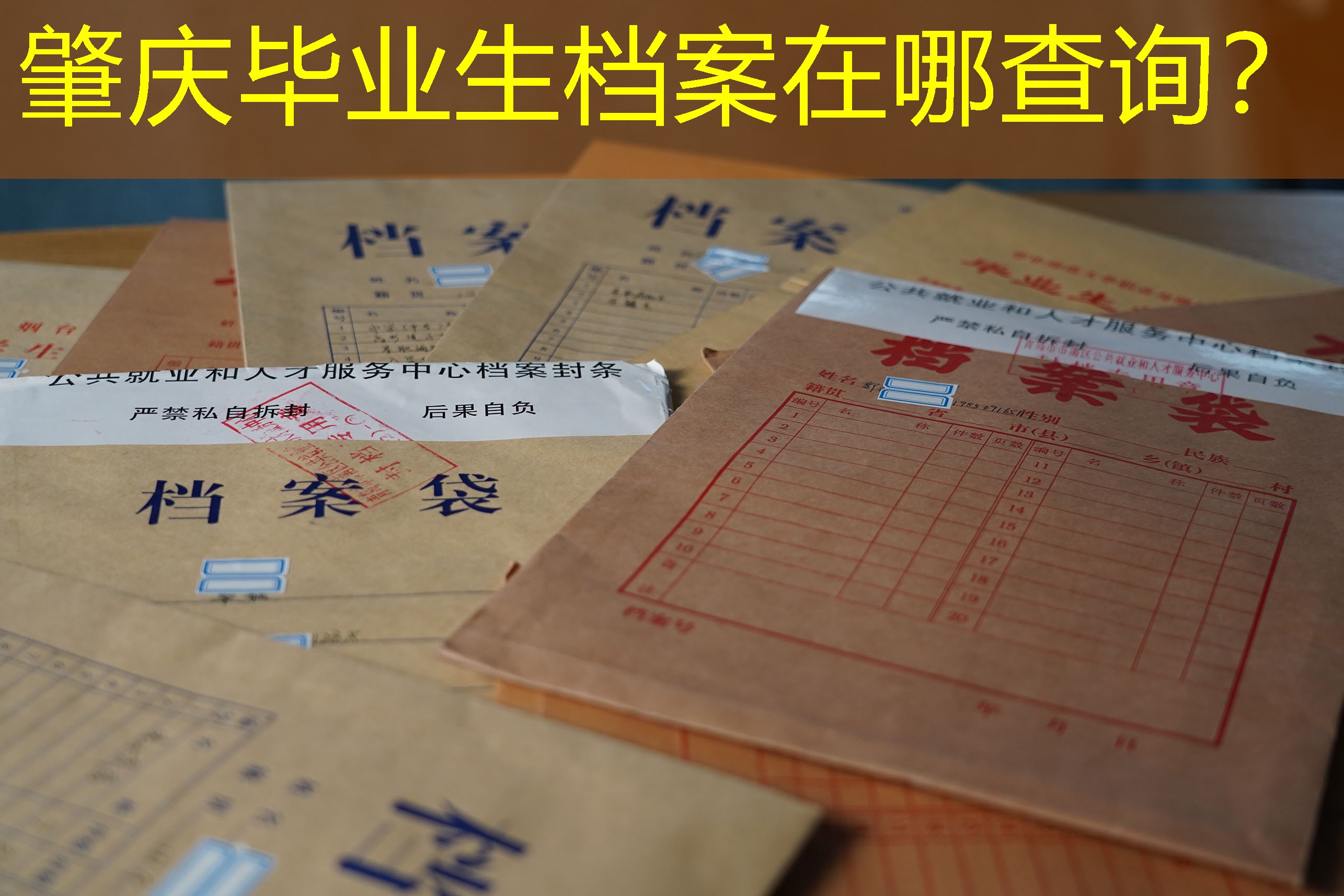 档案查询