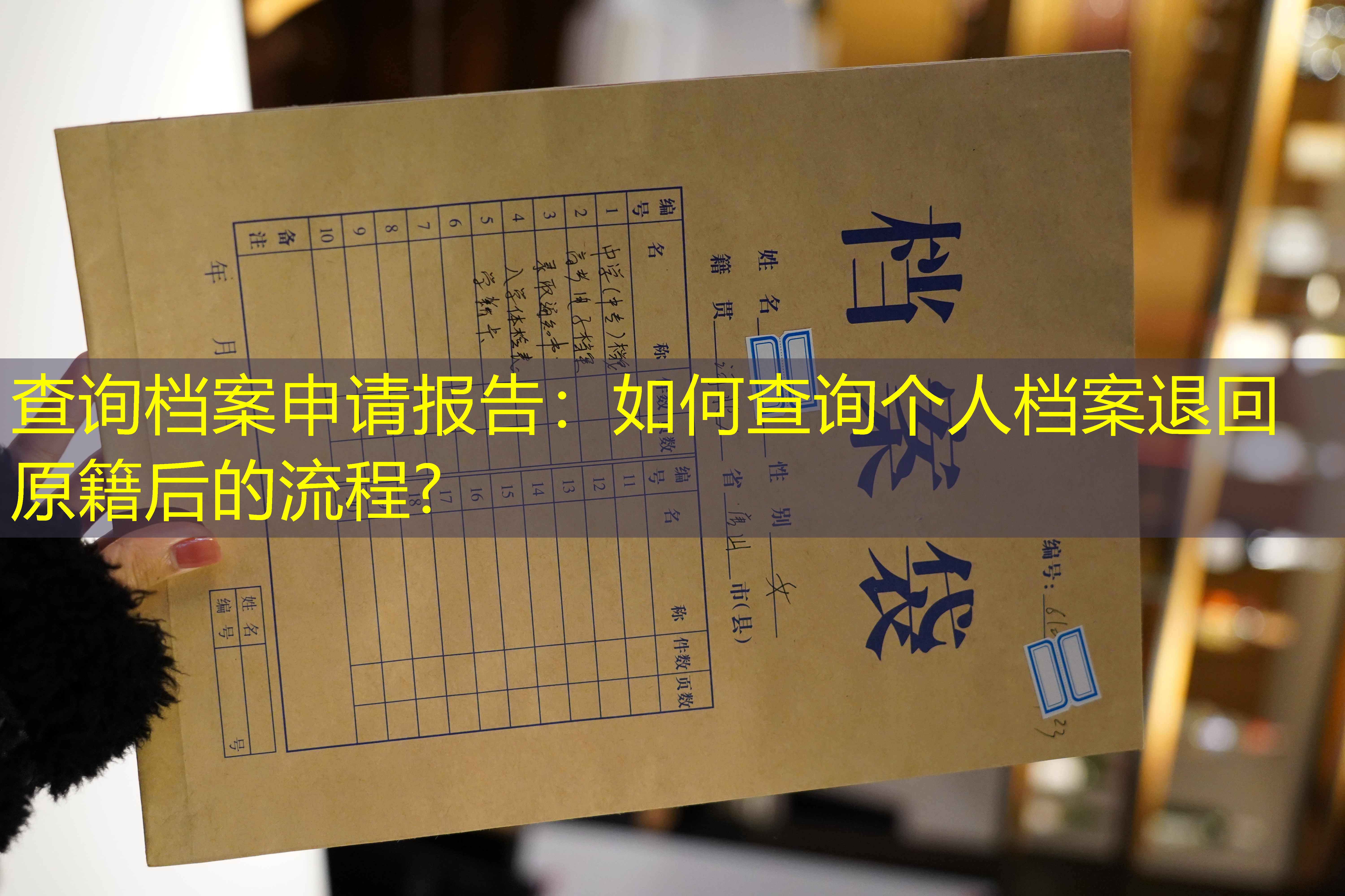 档案查询
