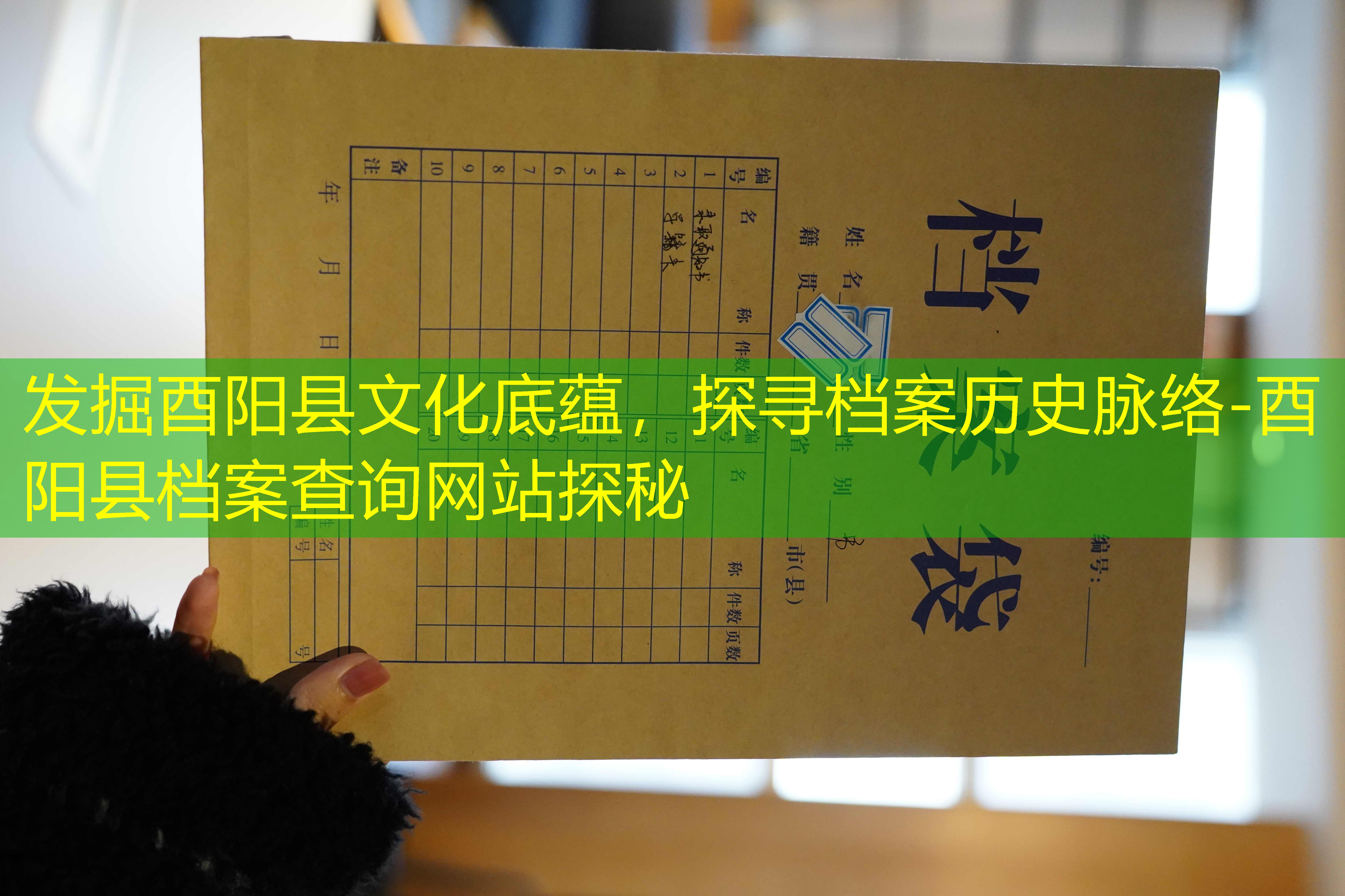档案查询