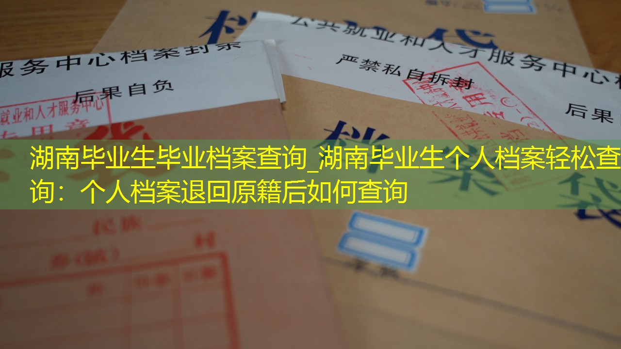 档案查询