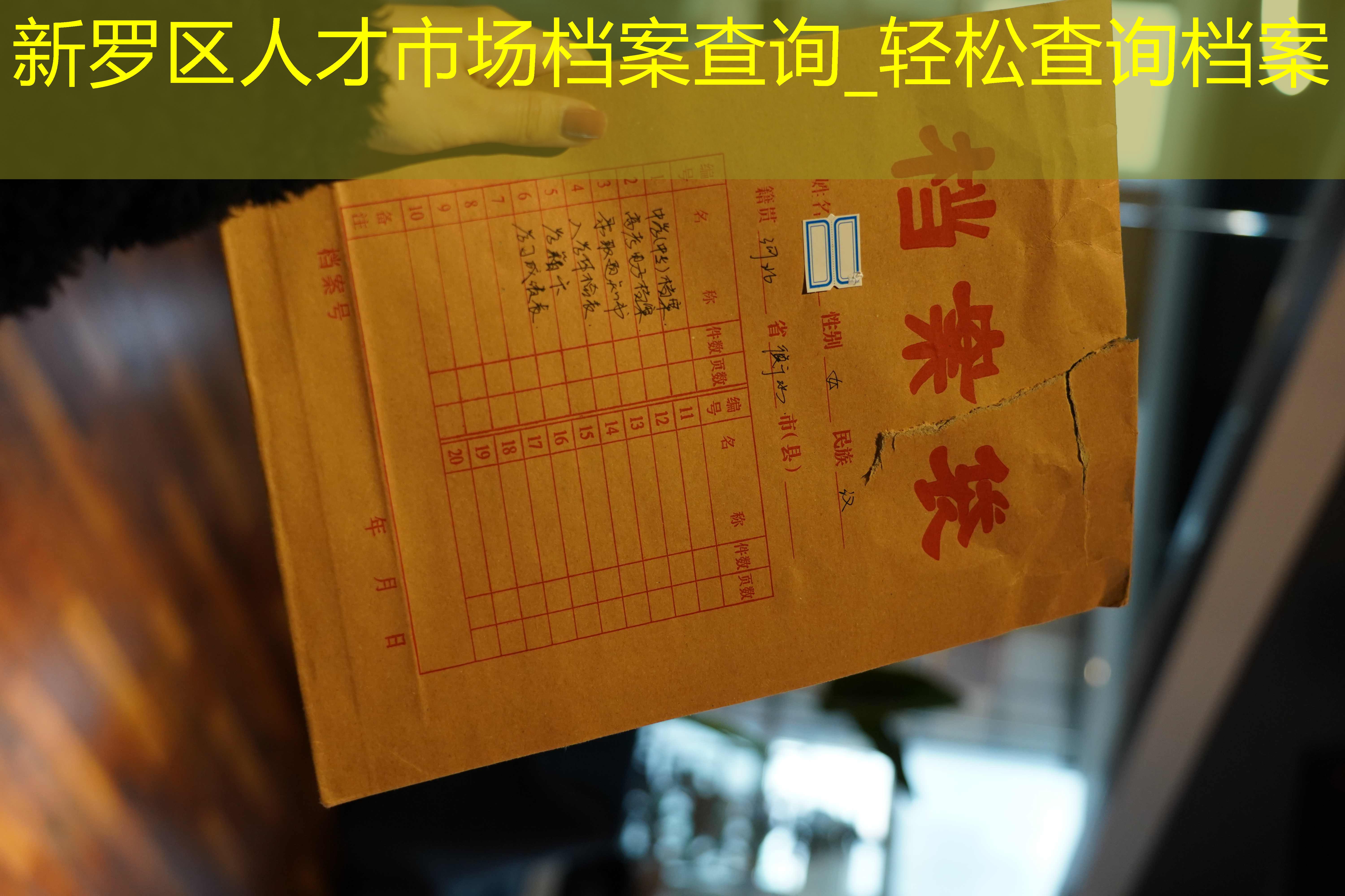 档案查询