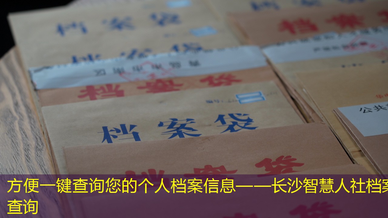 档案查询