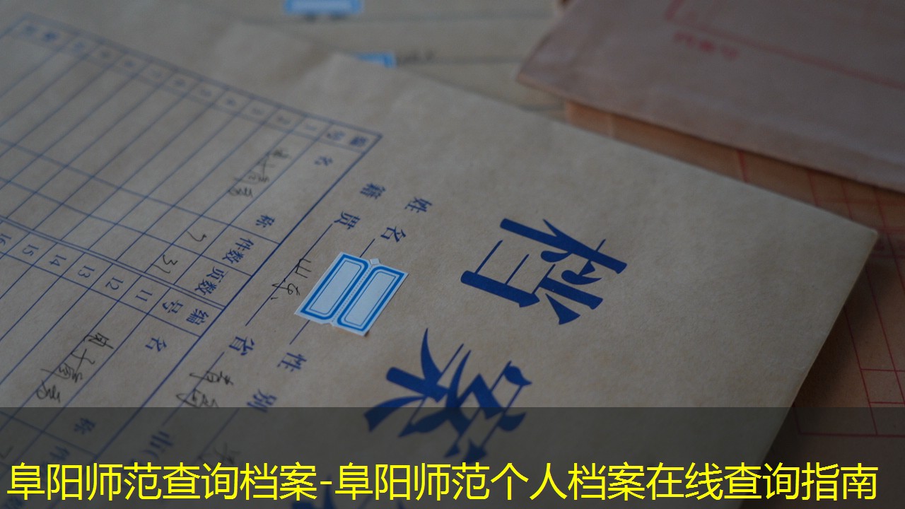 档案查询
