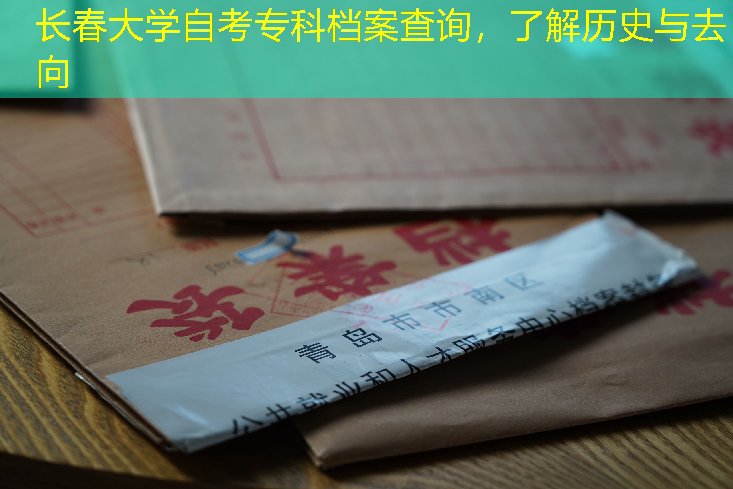 档案查询